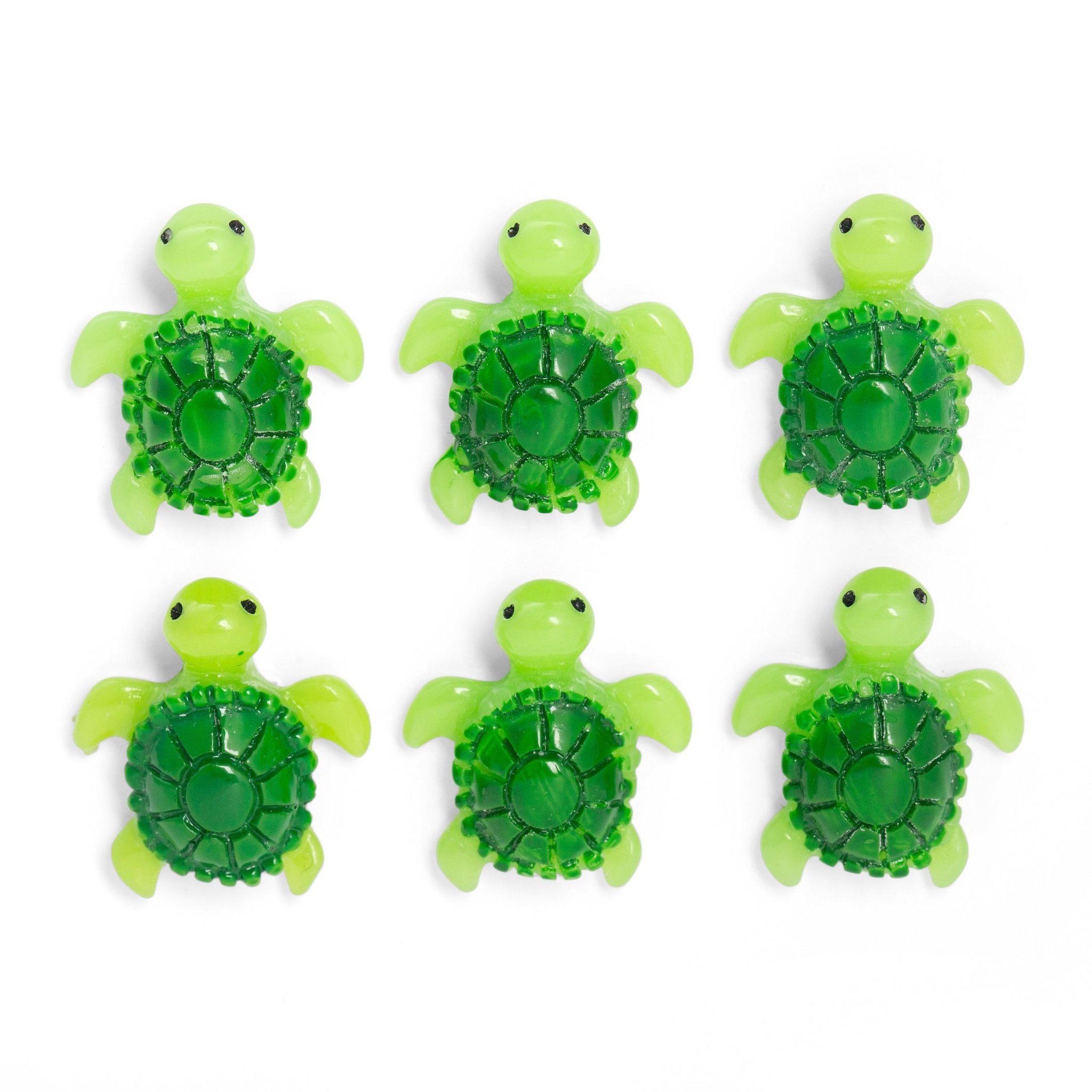 Baby Turtle Magnets
