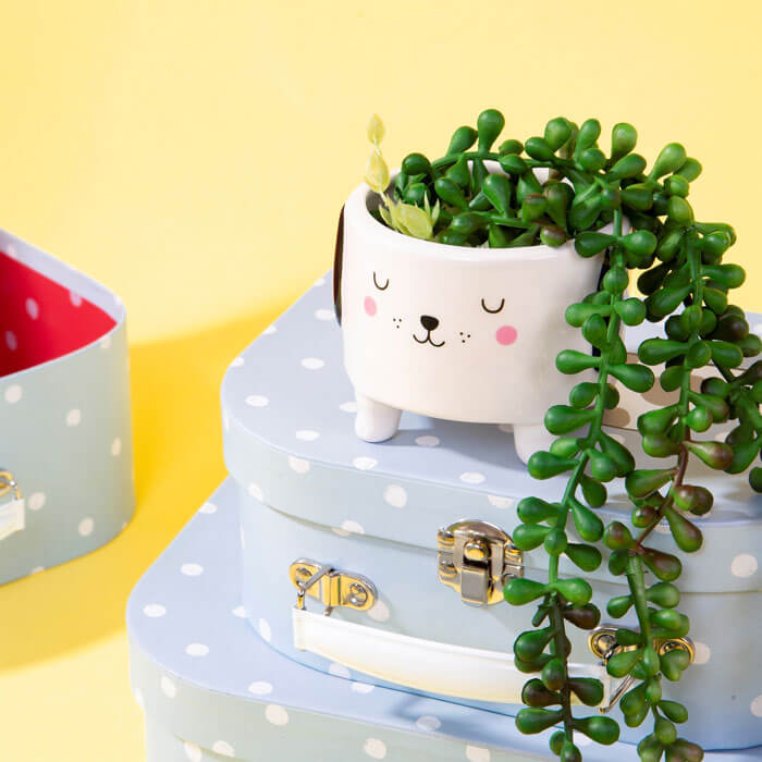 Cache-Pot Barney le Chien