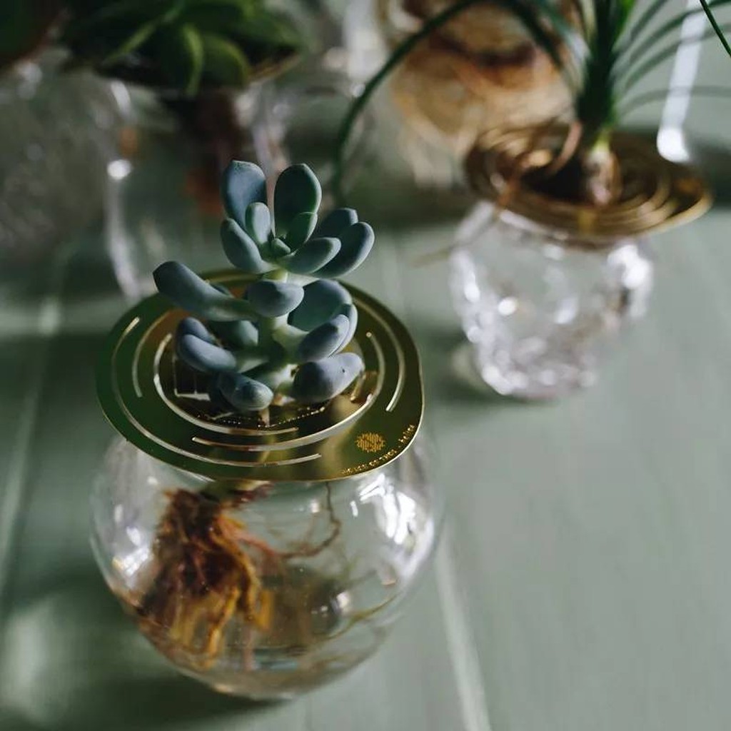 Helios Messing Zucht Scheibe