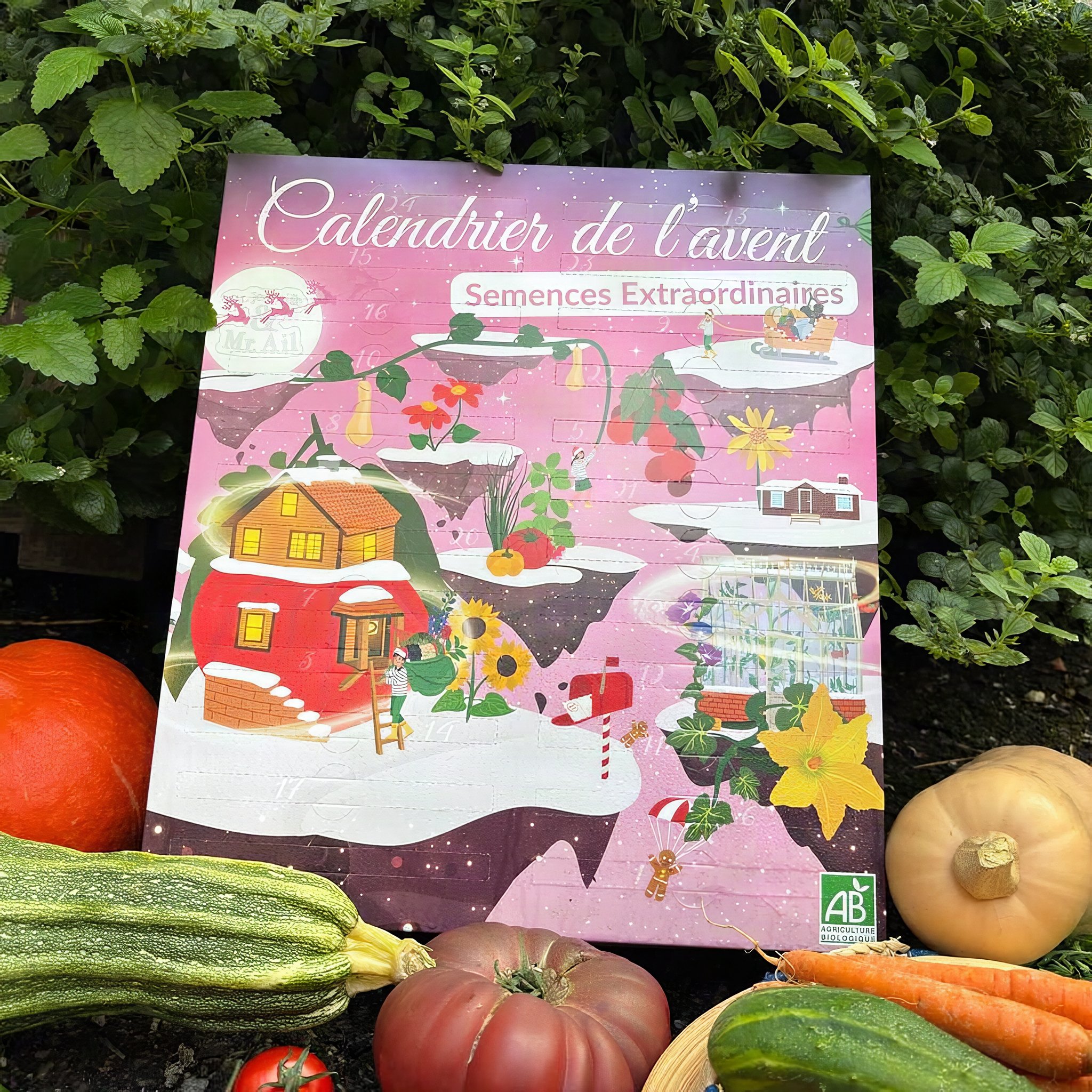 Calendrier de l'Avent de semences bio au jardin entre courges, courgettes, carottes et tomates