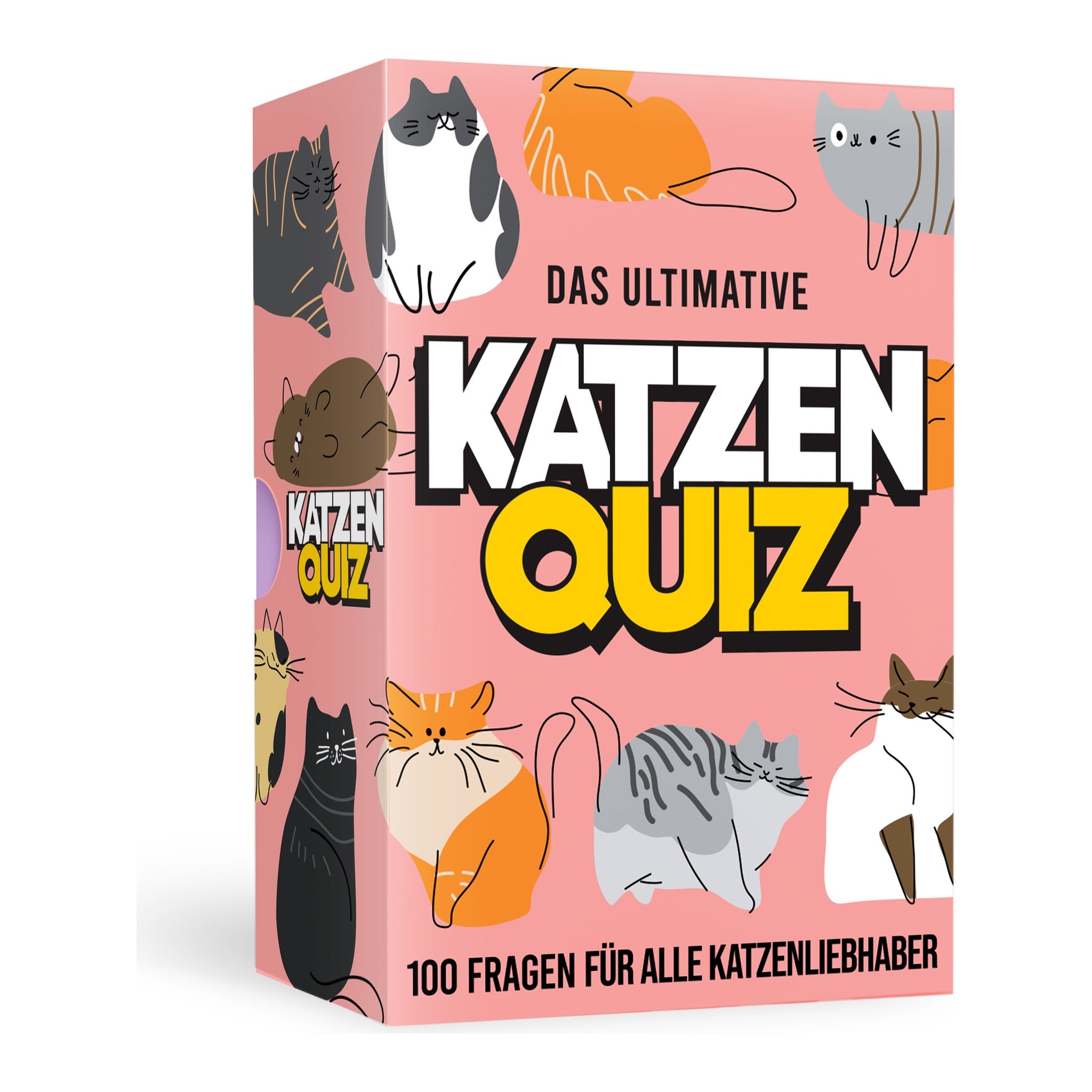 Schachtel Katzen-Quiz mit 100 Fragen für Katzenliebhaber