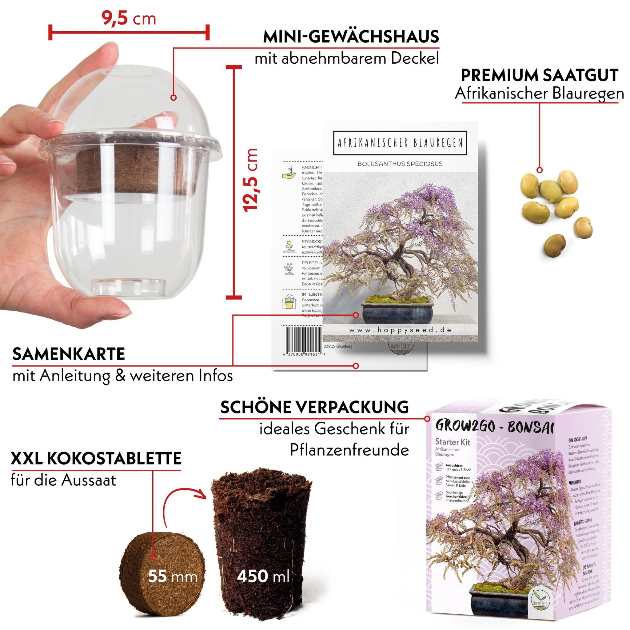 Grow2Go Bonsai Set Inhalt mit Massen Mini-Gewächshaus 9 5 cm und XXL-Kokostablette
