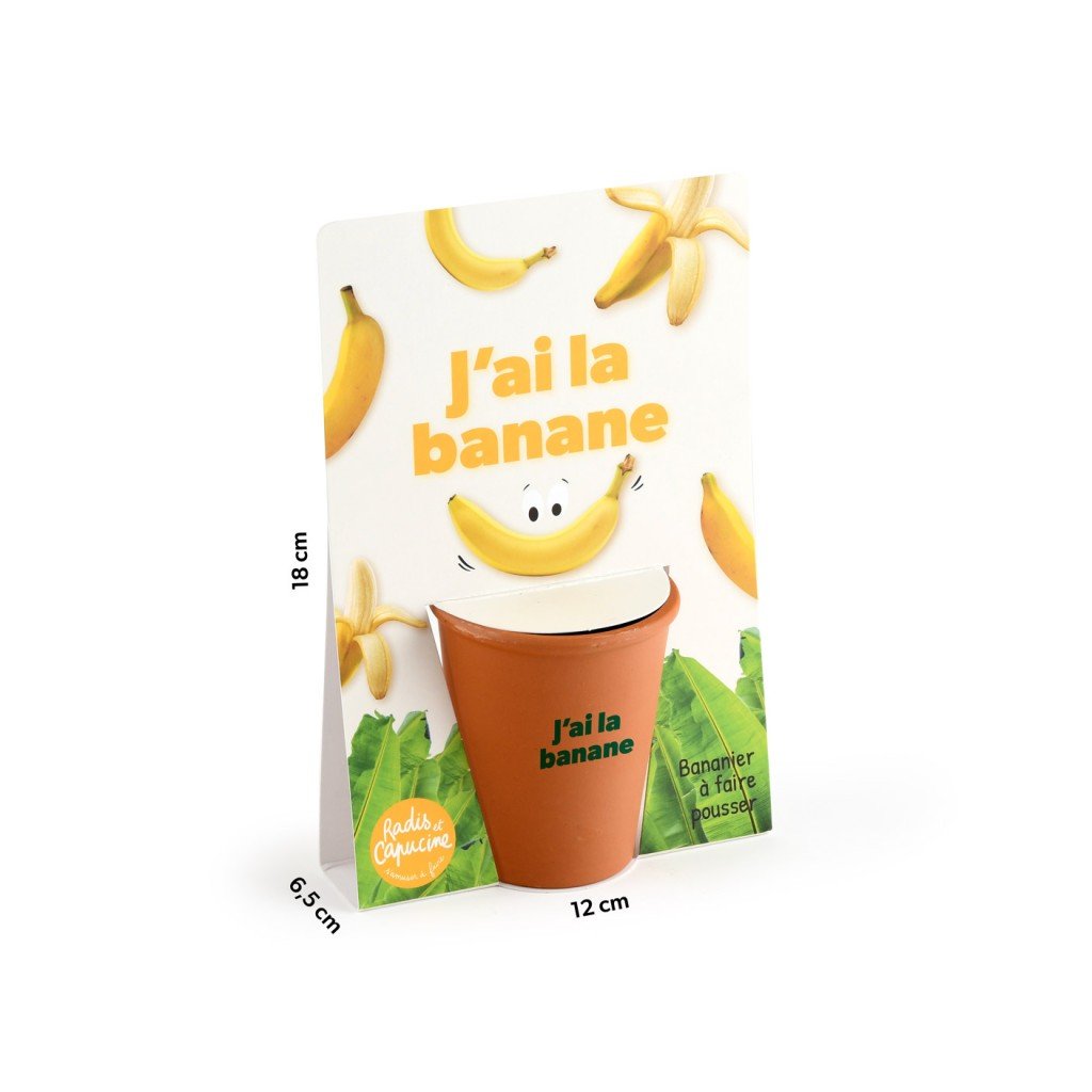 Bananenbaum Anzuchtset "Ich hab gut lachen"