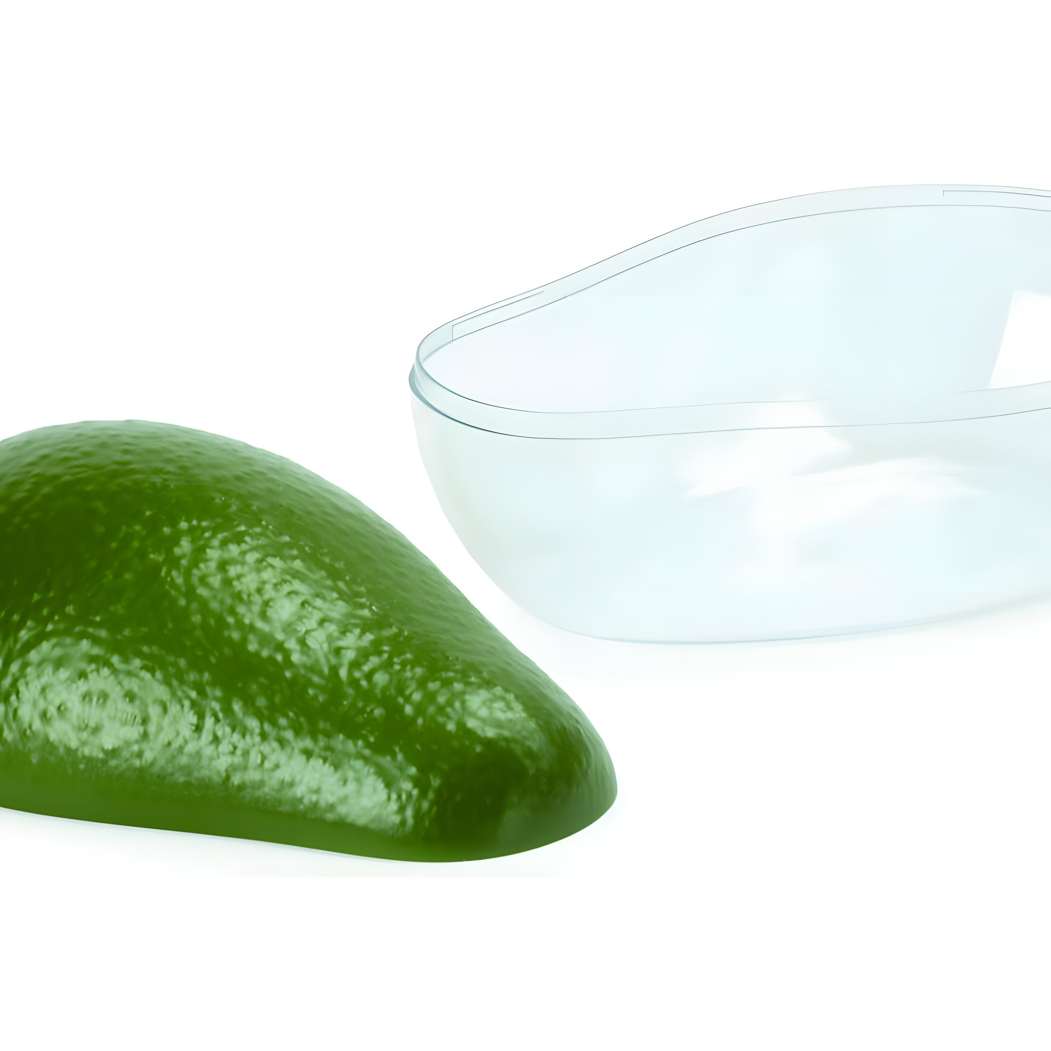 Avocado Frischebox