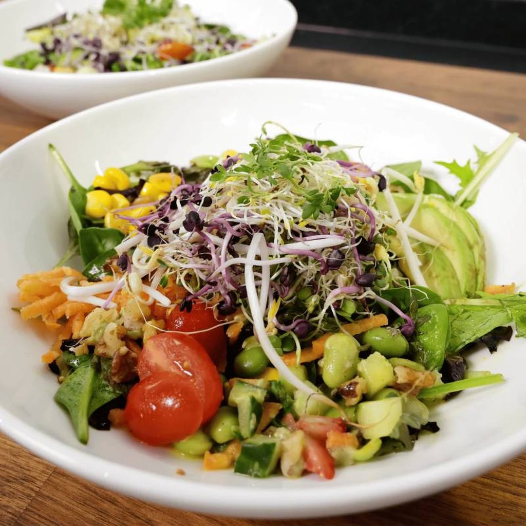 Saatgut Sprossen Gourmet 3er Set