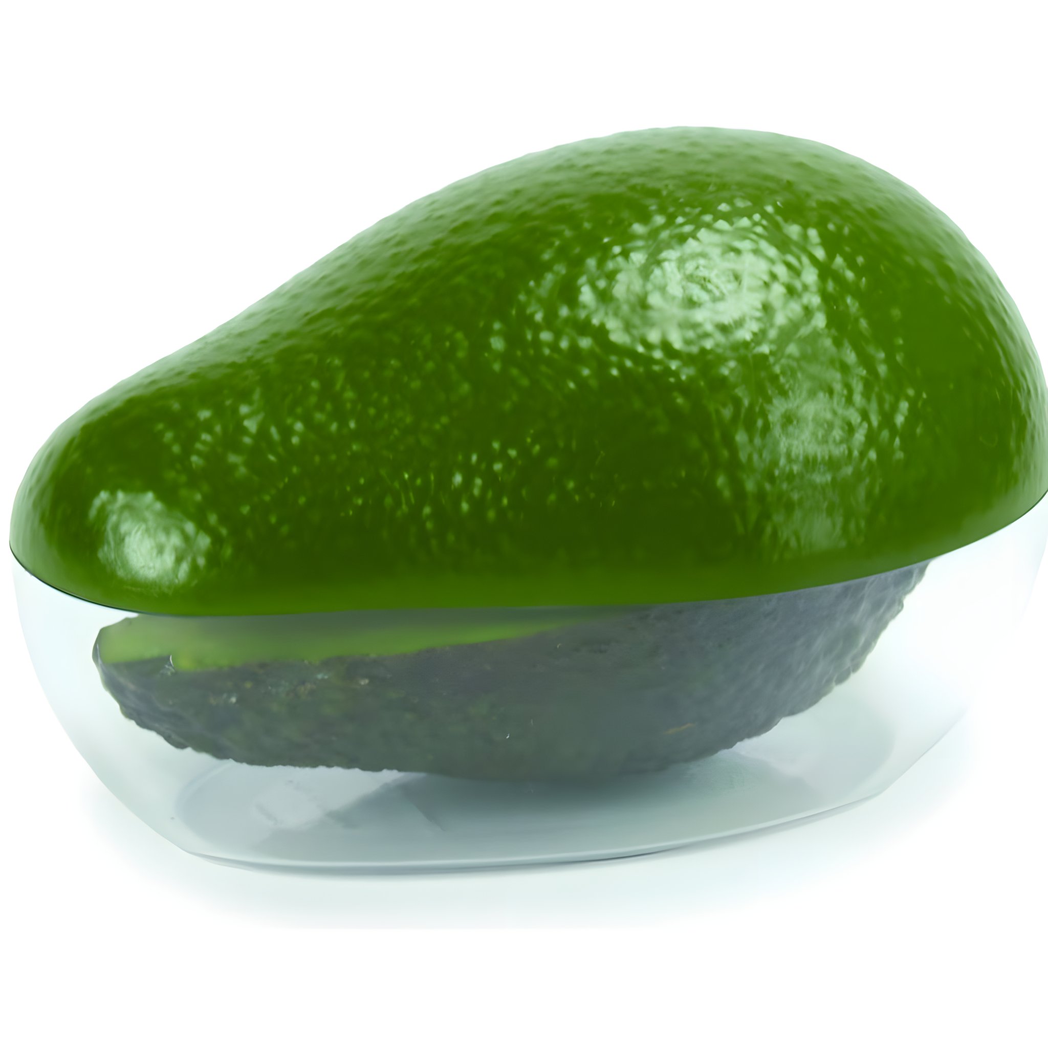 Avocado Frischebox
