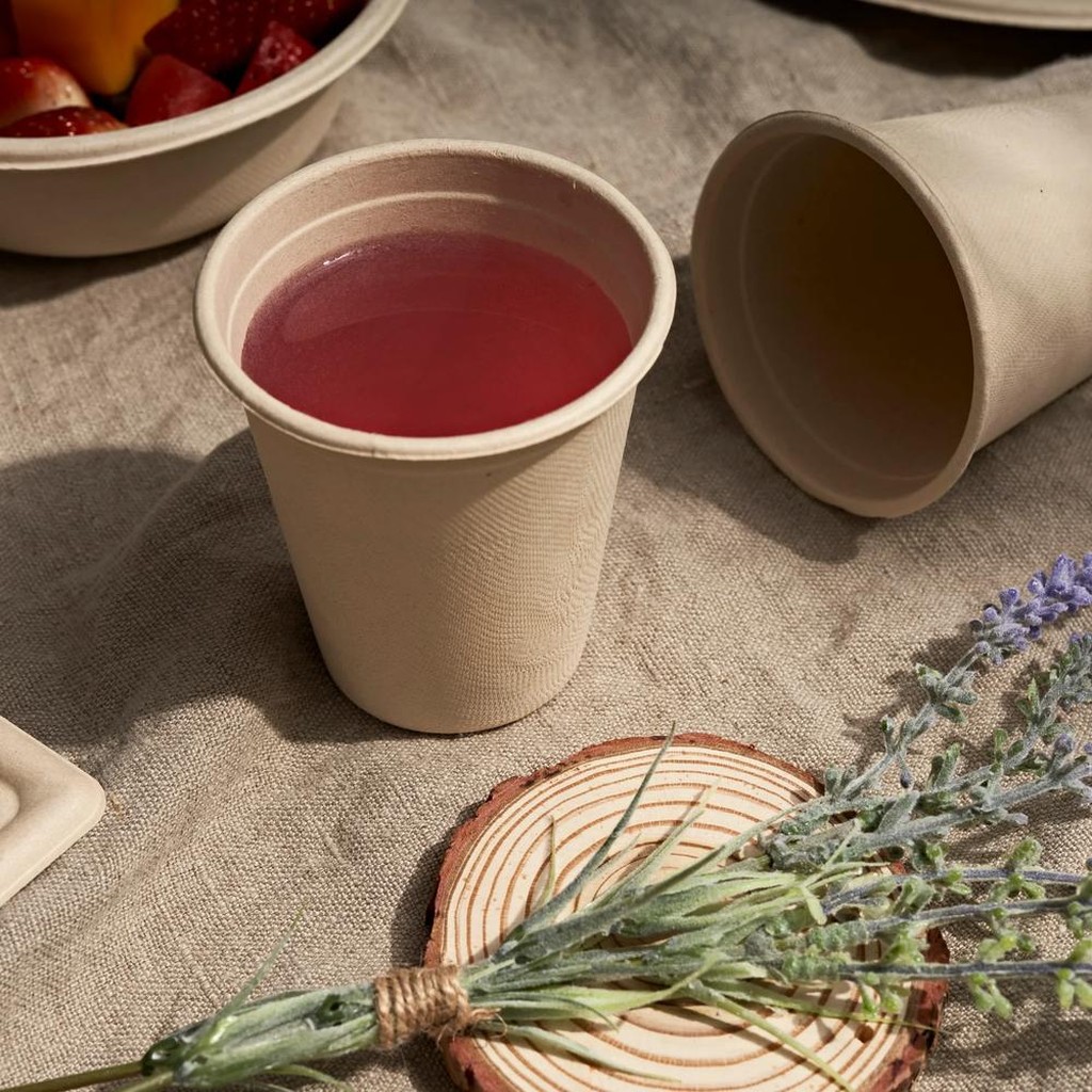 100 Einwegbecher aus Zuckerrohr