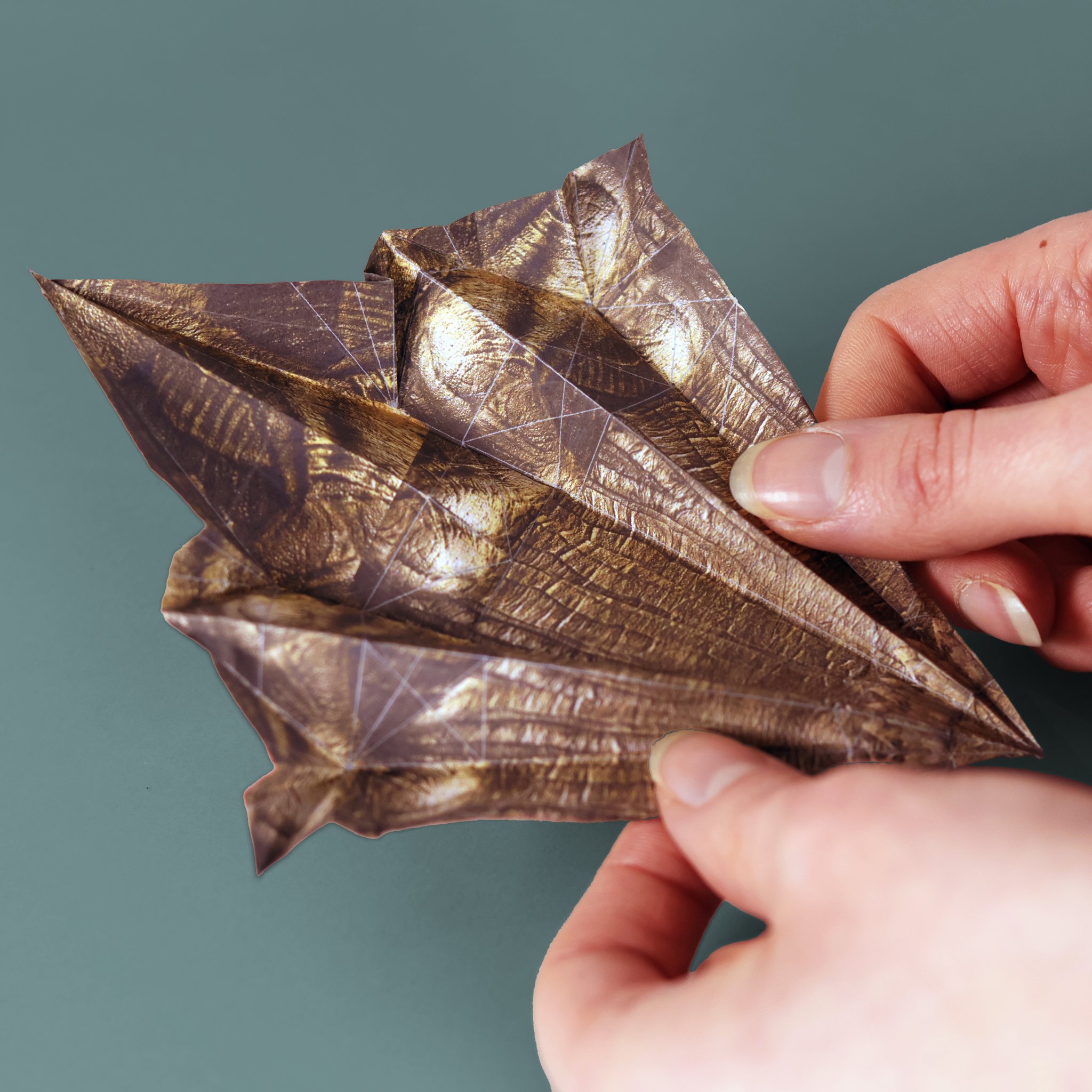Paper Dinos origami set – folding a dinosaur