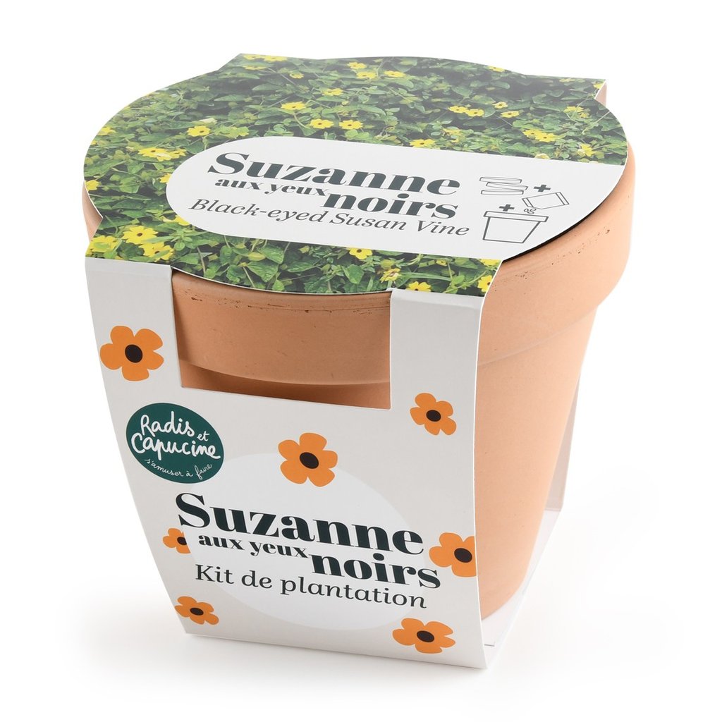 Pflanzset Schwarzäugige Susanne