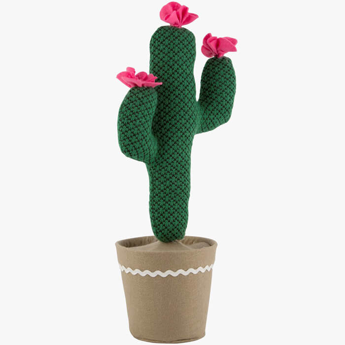 Fermaporta Cactus