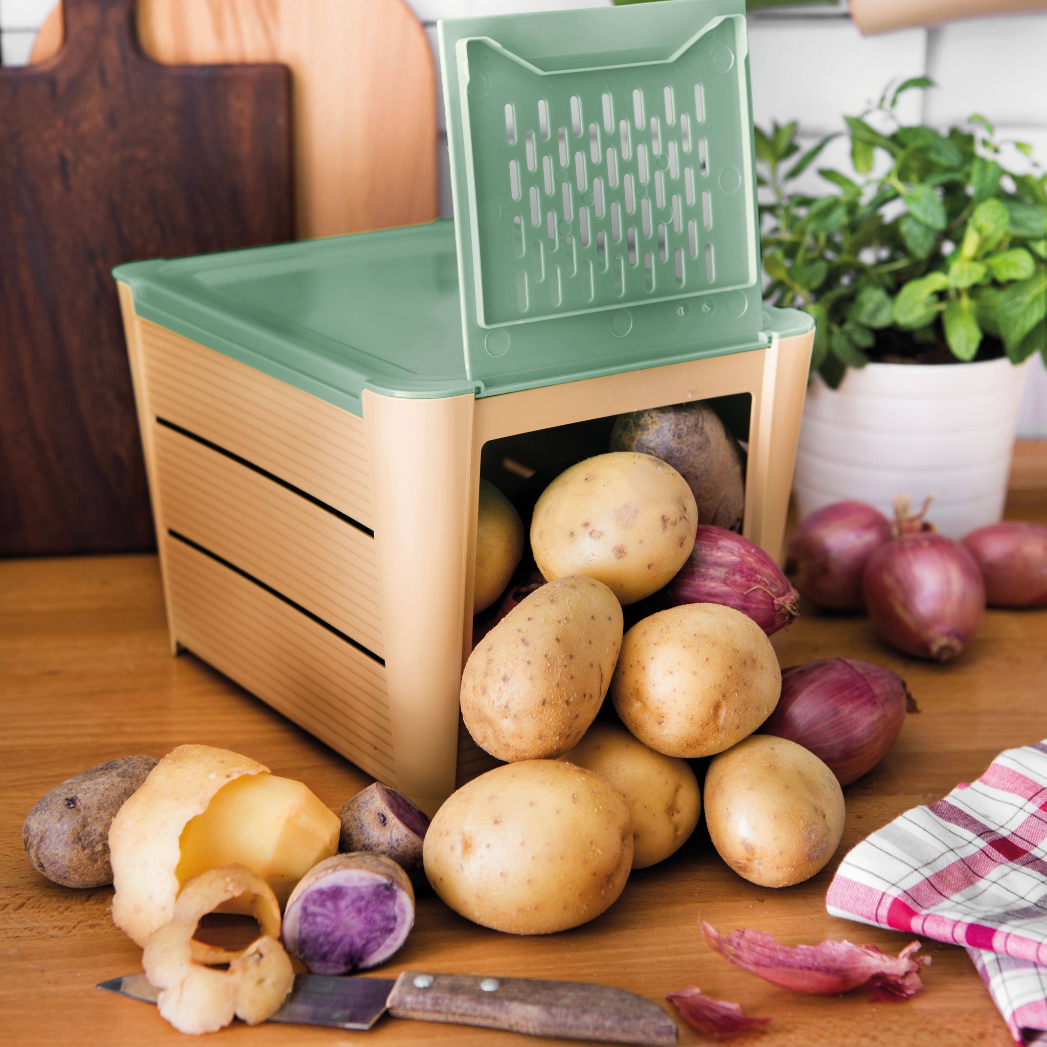 Offene Kartoffel Aufbewahrungsbox mit Frontklappe und Kartoffeln