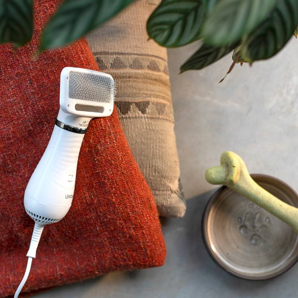 Haustier-Haartrocknerbürste von Livoo