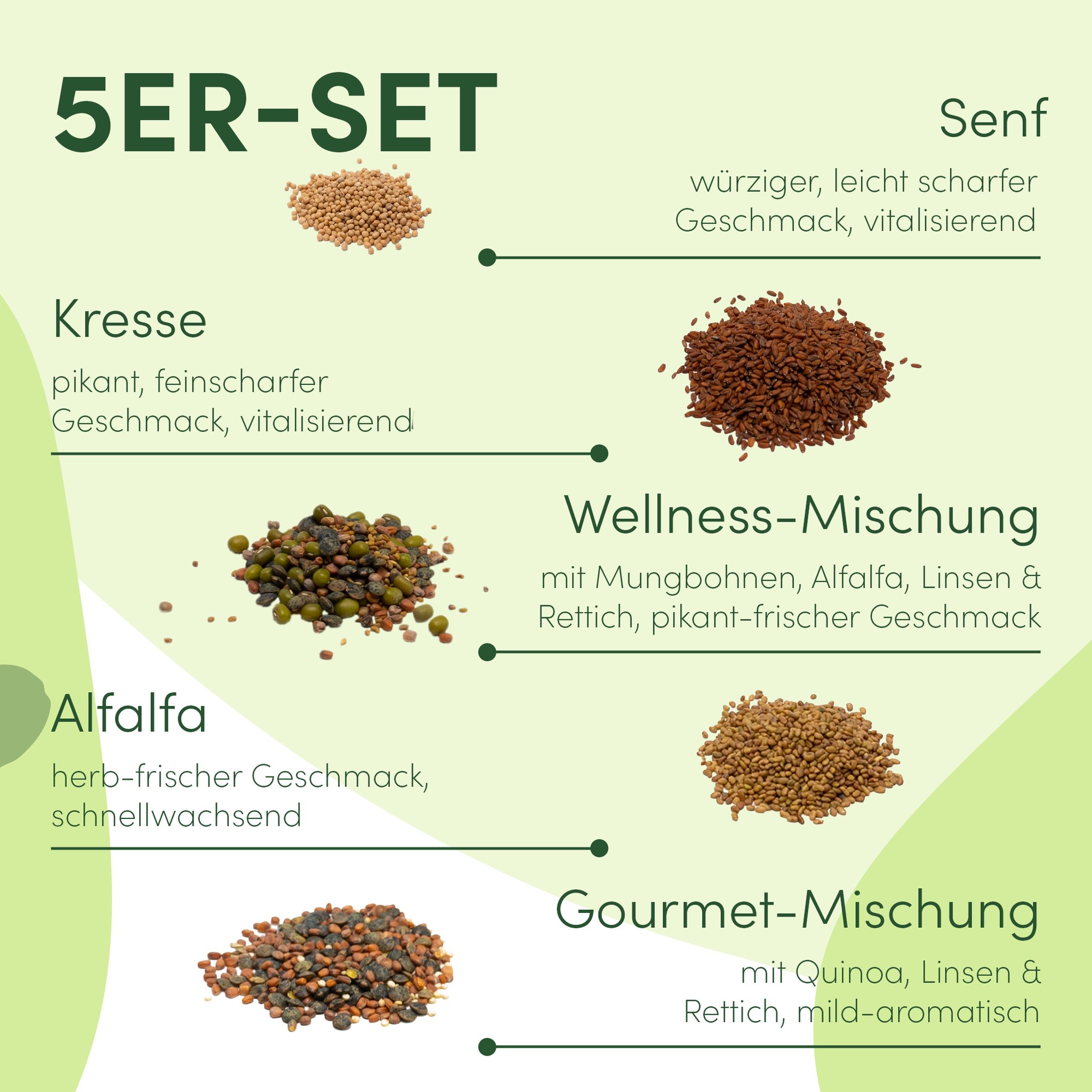 Geschenkbox Keimsaat Sprossen-Mix in nachhaltigem Graspapier