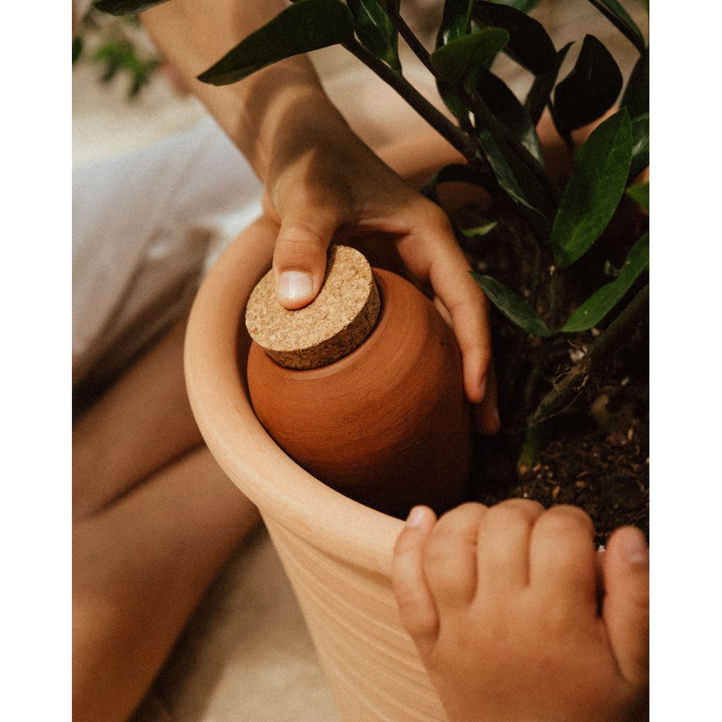 Pepin Olla Terracotta – Automatische Bewässerung