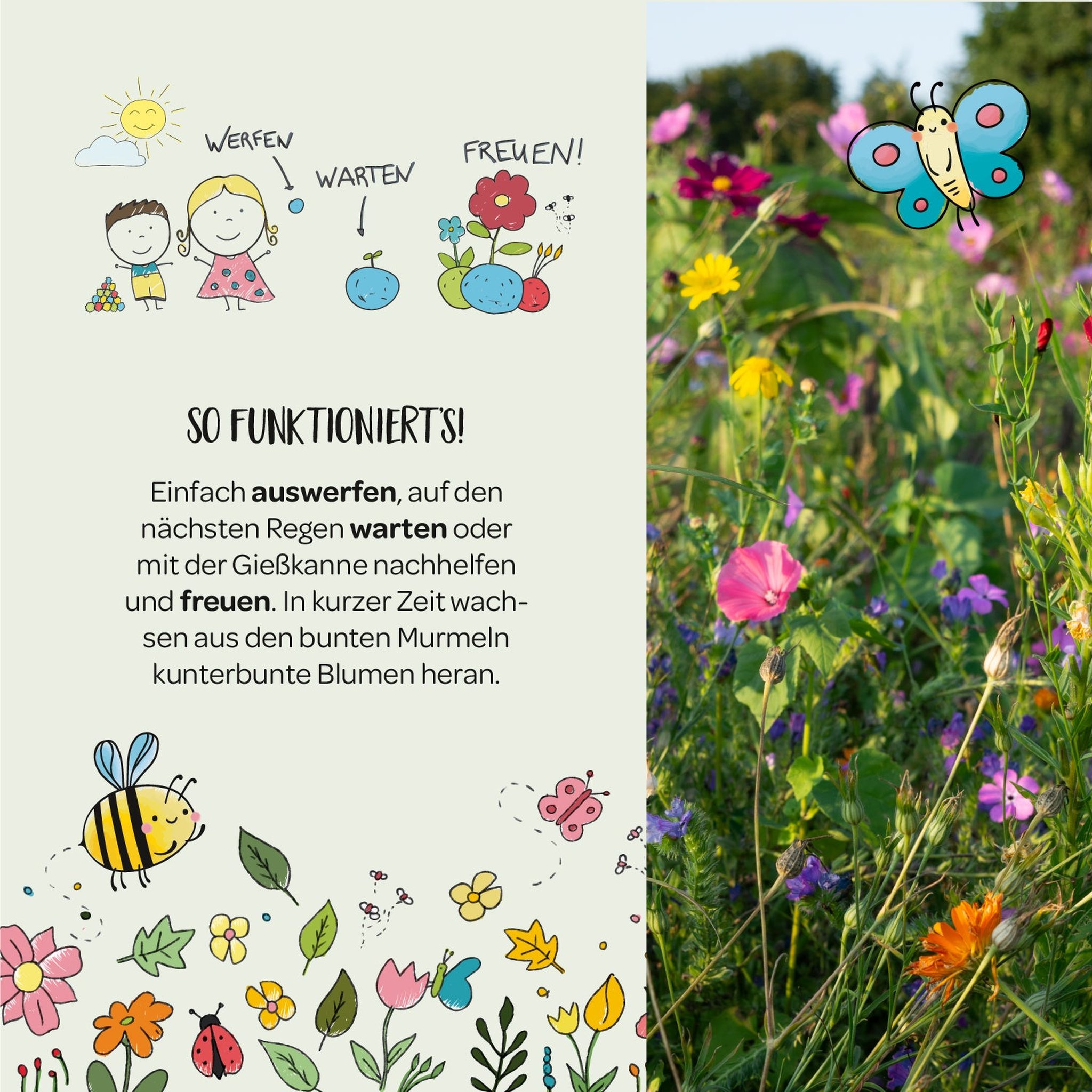 Anleitung So funktionierts mit Zeichnung werfen, warten, freuen neben einer bunten Blumenwiese