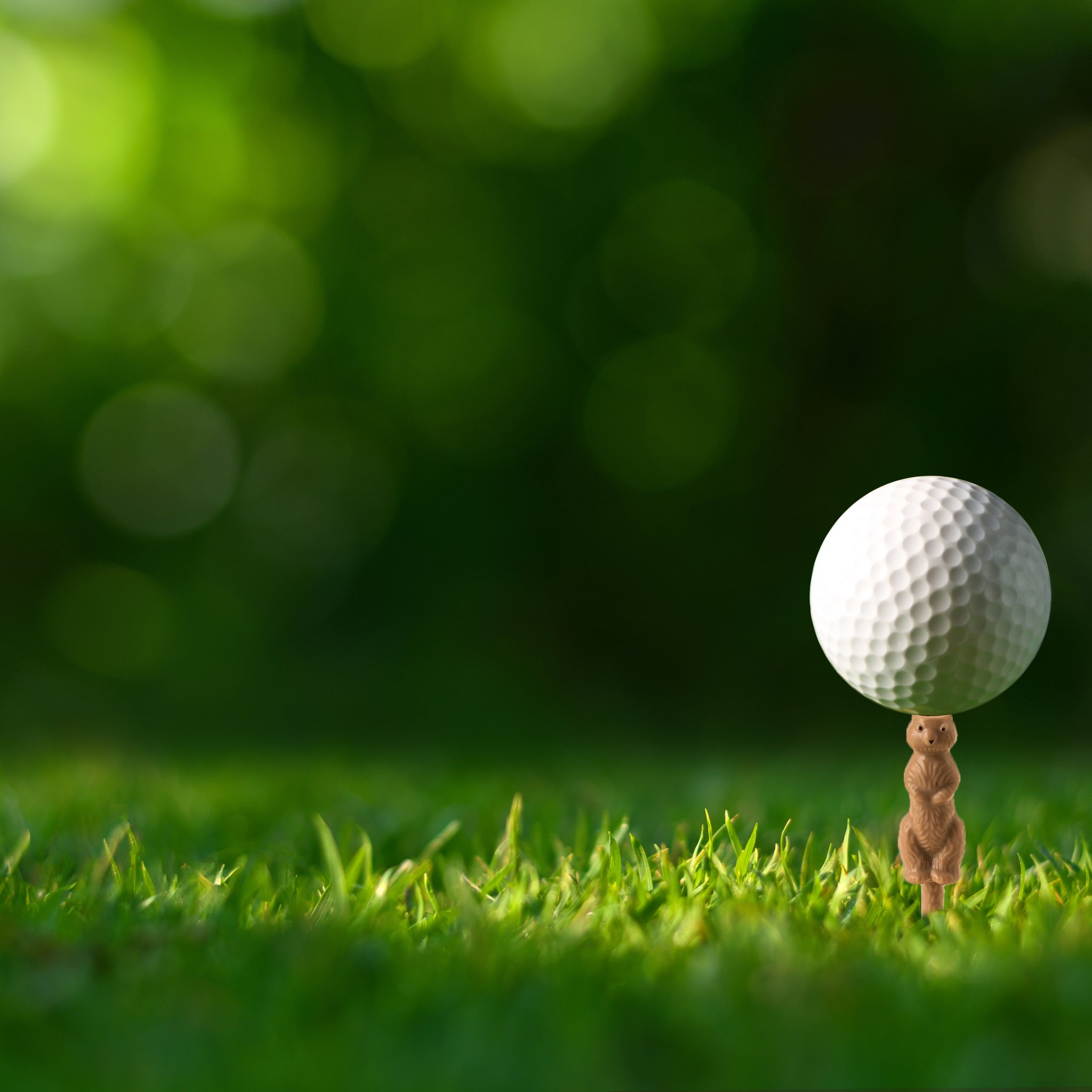Erdhörnchen-Golftee mit Ball im Gras, grüner Hintergrund