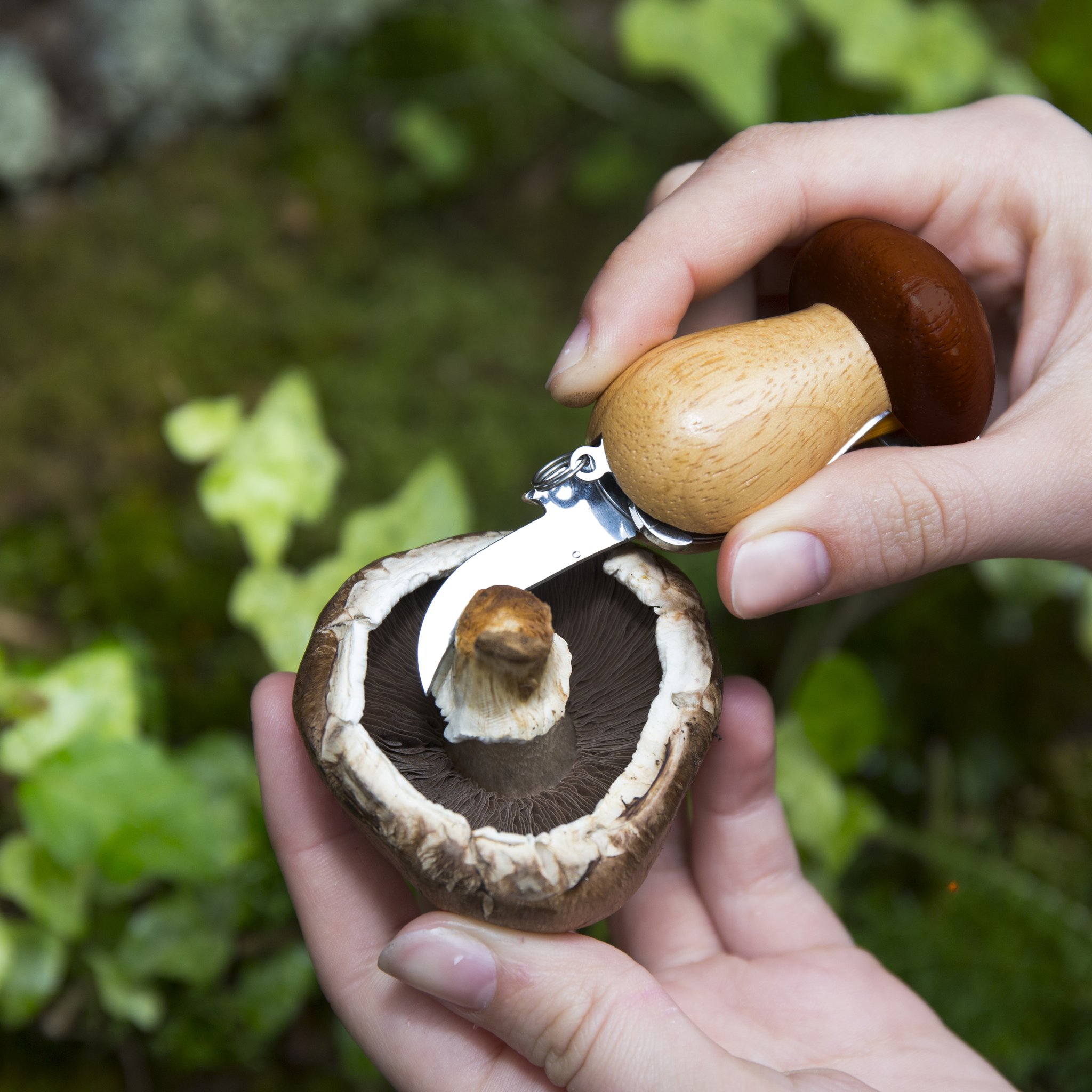 Gadget fungo che taglia un portobello con la lama