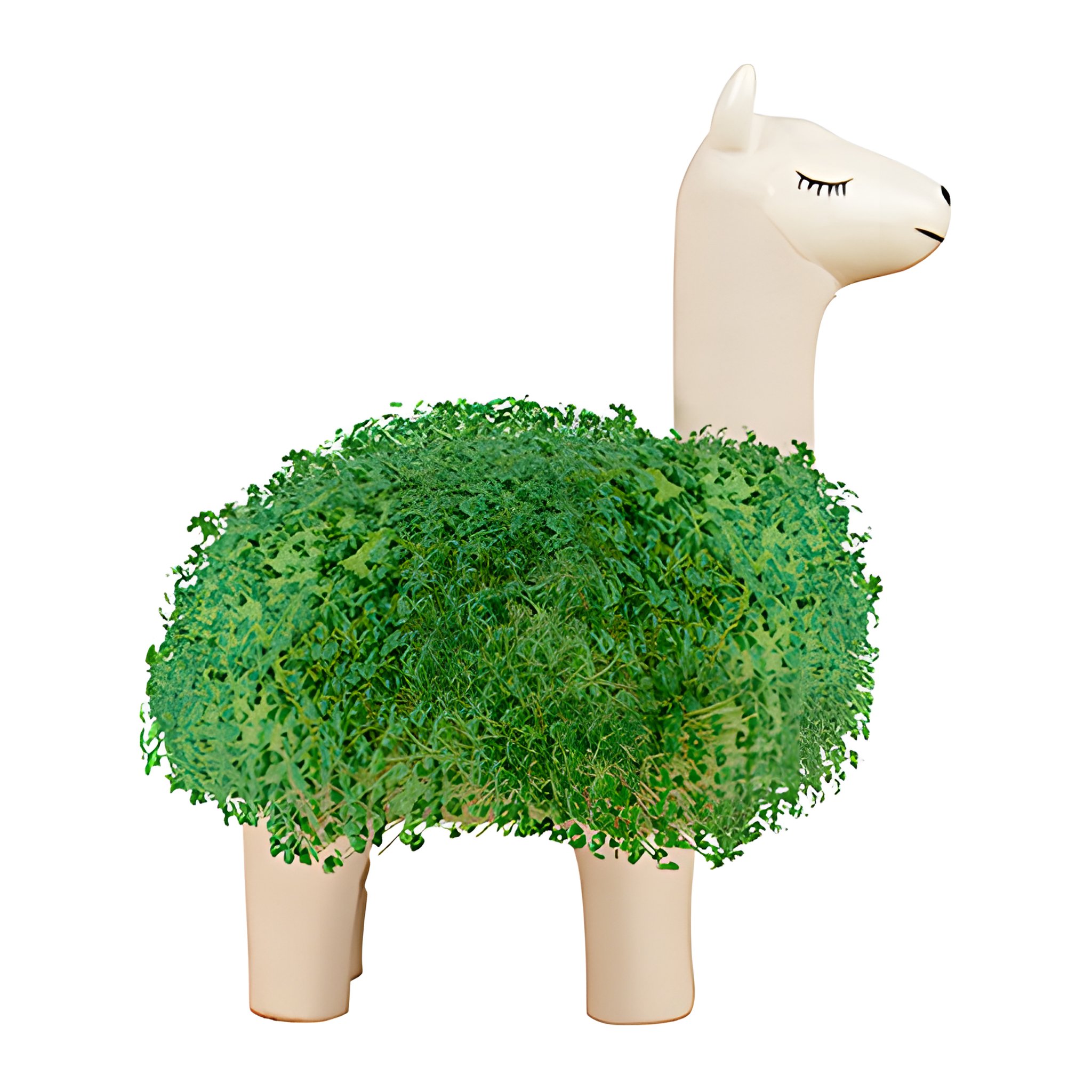 Pot de jardinage Lama Chia vue détaillée