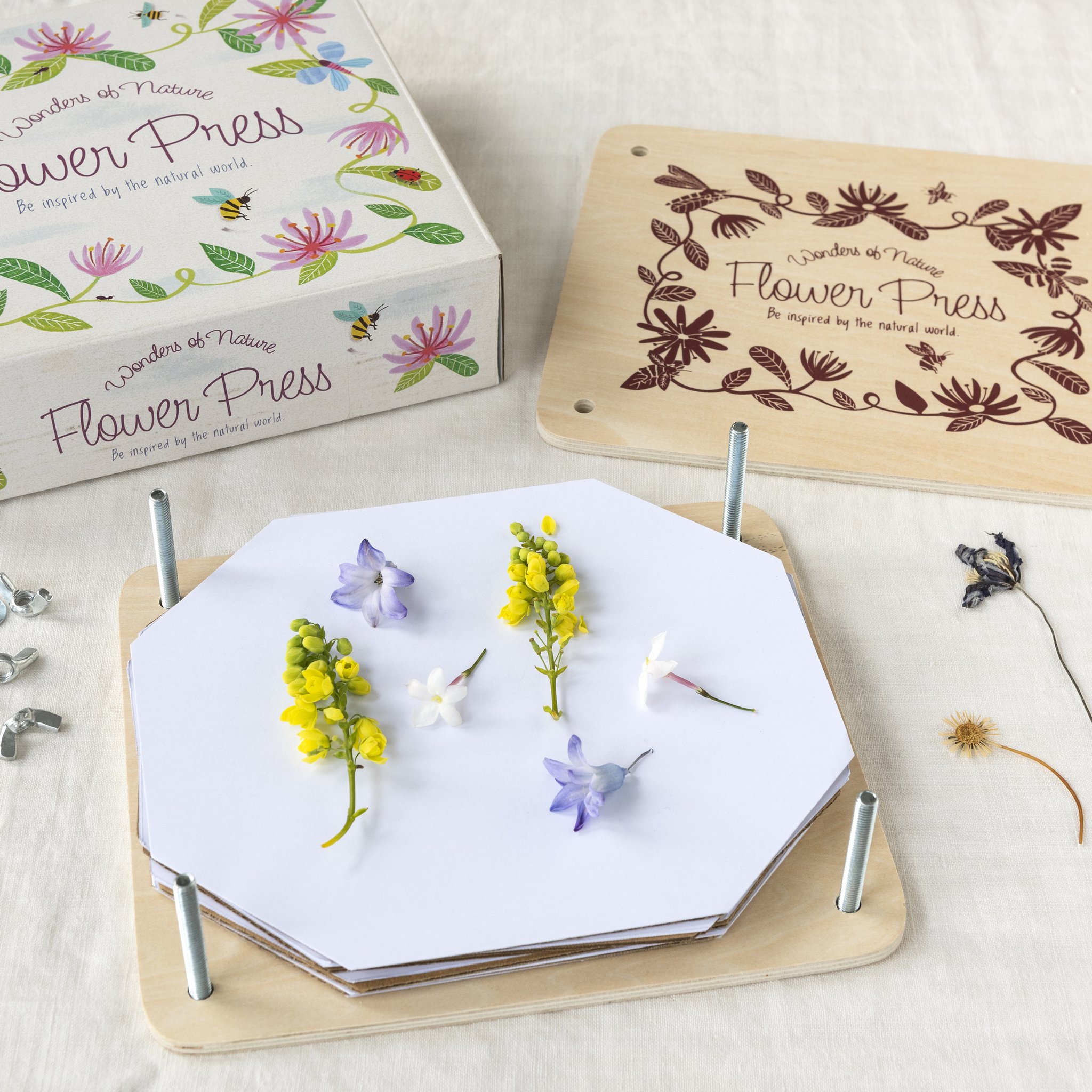 Flower press in use with fresh blossoms on the paper sheet, box in the background