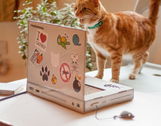 Tiragraffi per Gatti Laptop