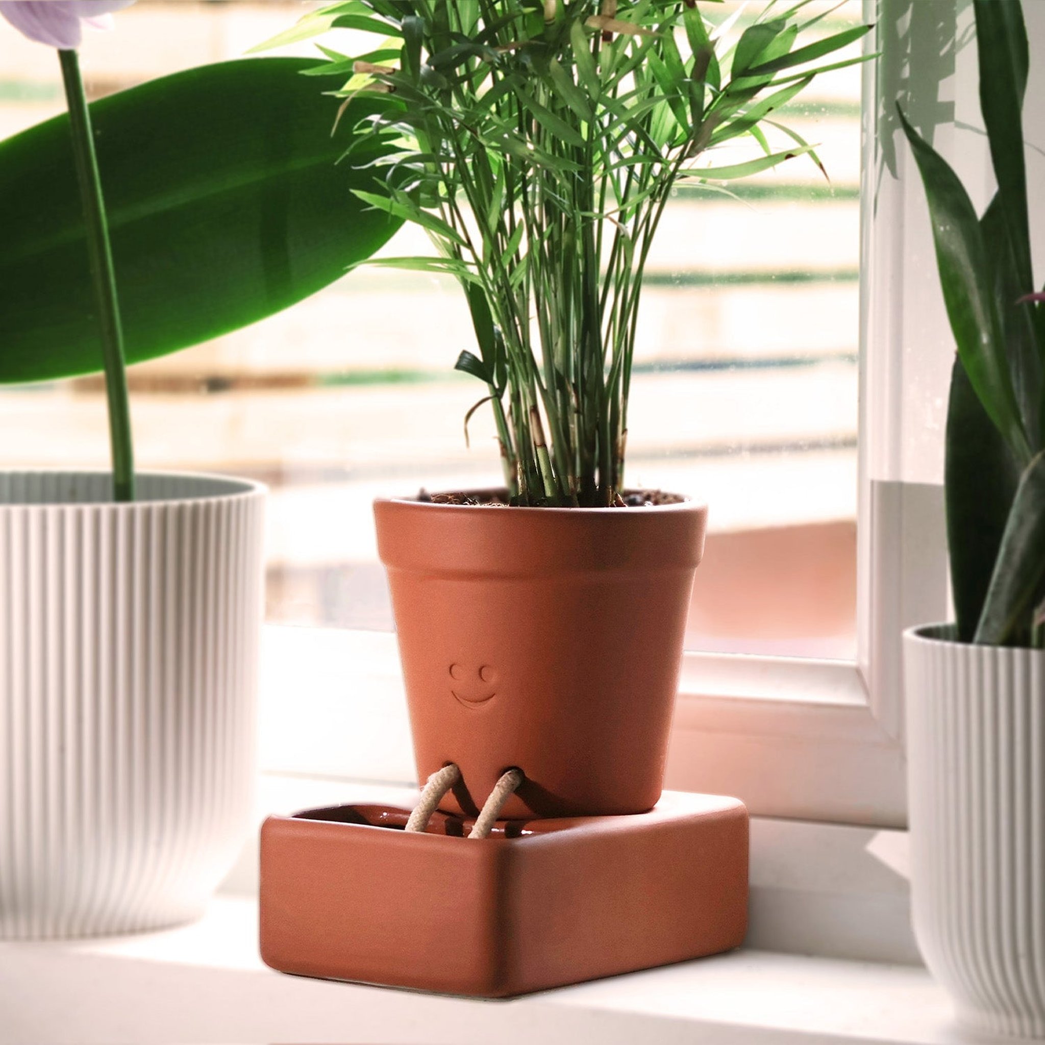 Pikkii Self Care Planter – Herbs in self-watering ceramic pot, lifestyle shot