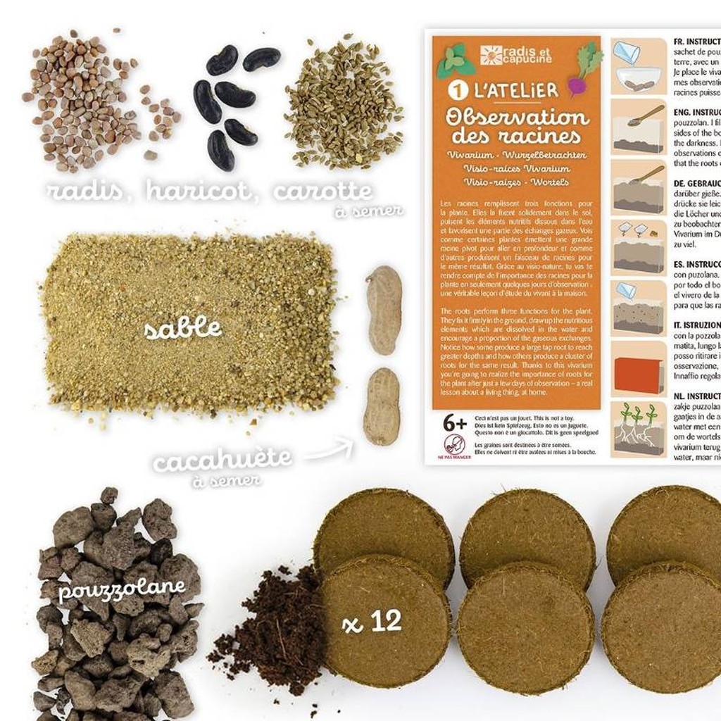 Vivarium Wurzeln und Regenwürmer entdecken