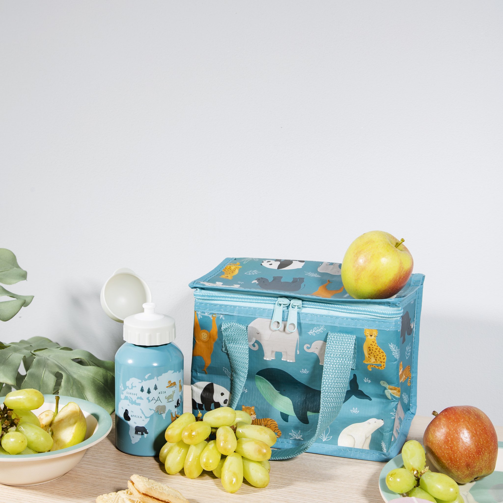 Gourde enfant animaux menacés avec sac repas et boîte à lunch de la série