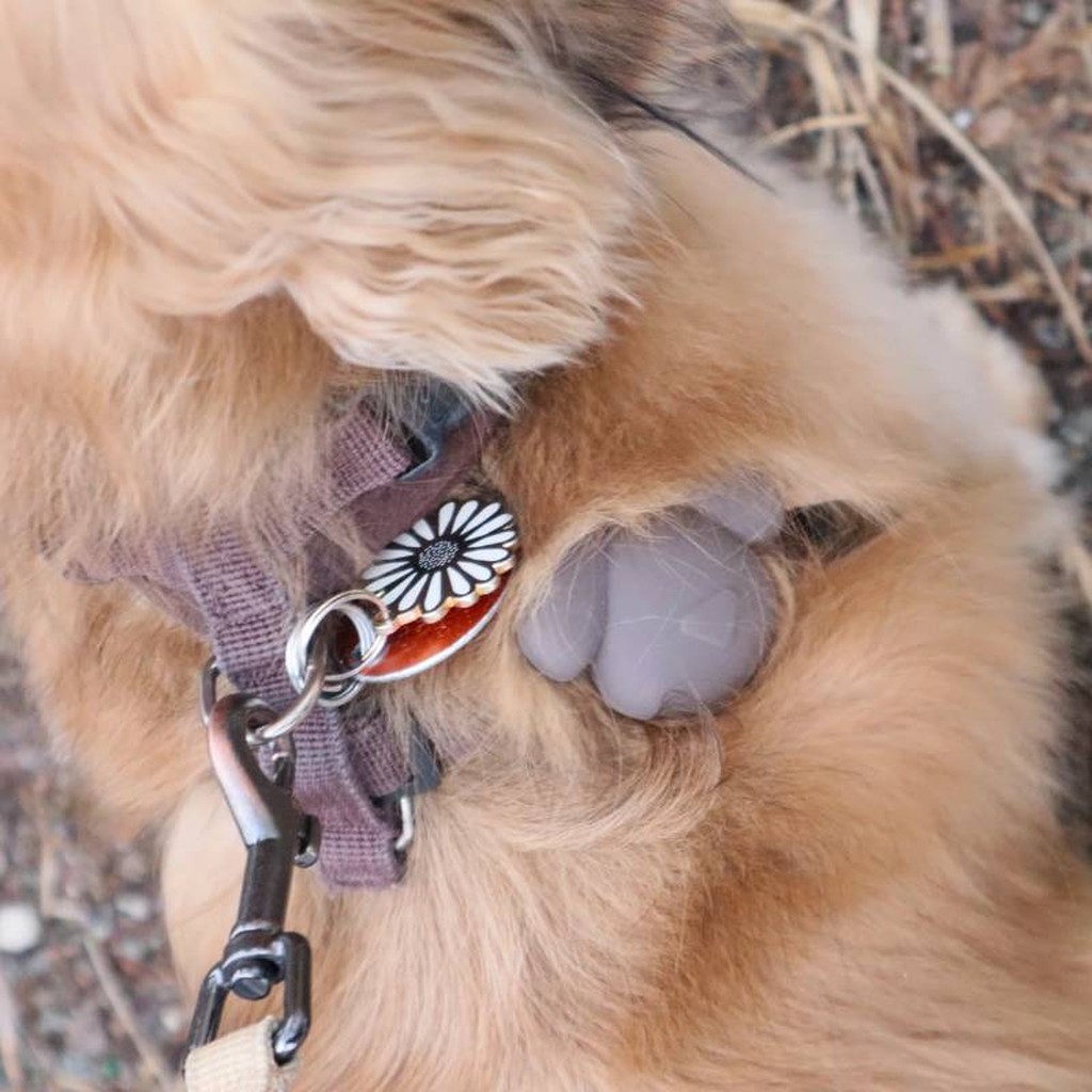 Kobe AirTag-Halter für Hunde