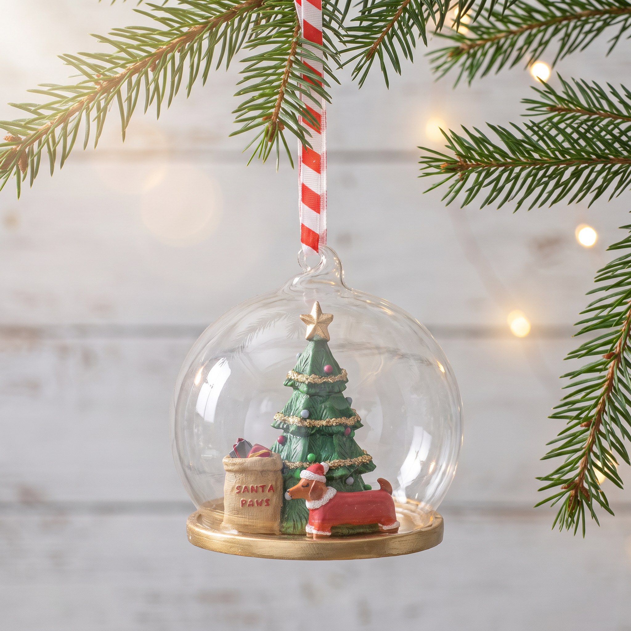 Pallina di Natale Santa Paws di Sass & Belle su un ramo di abete davanti a legno chiaro