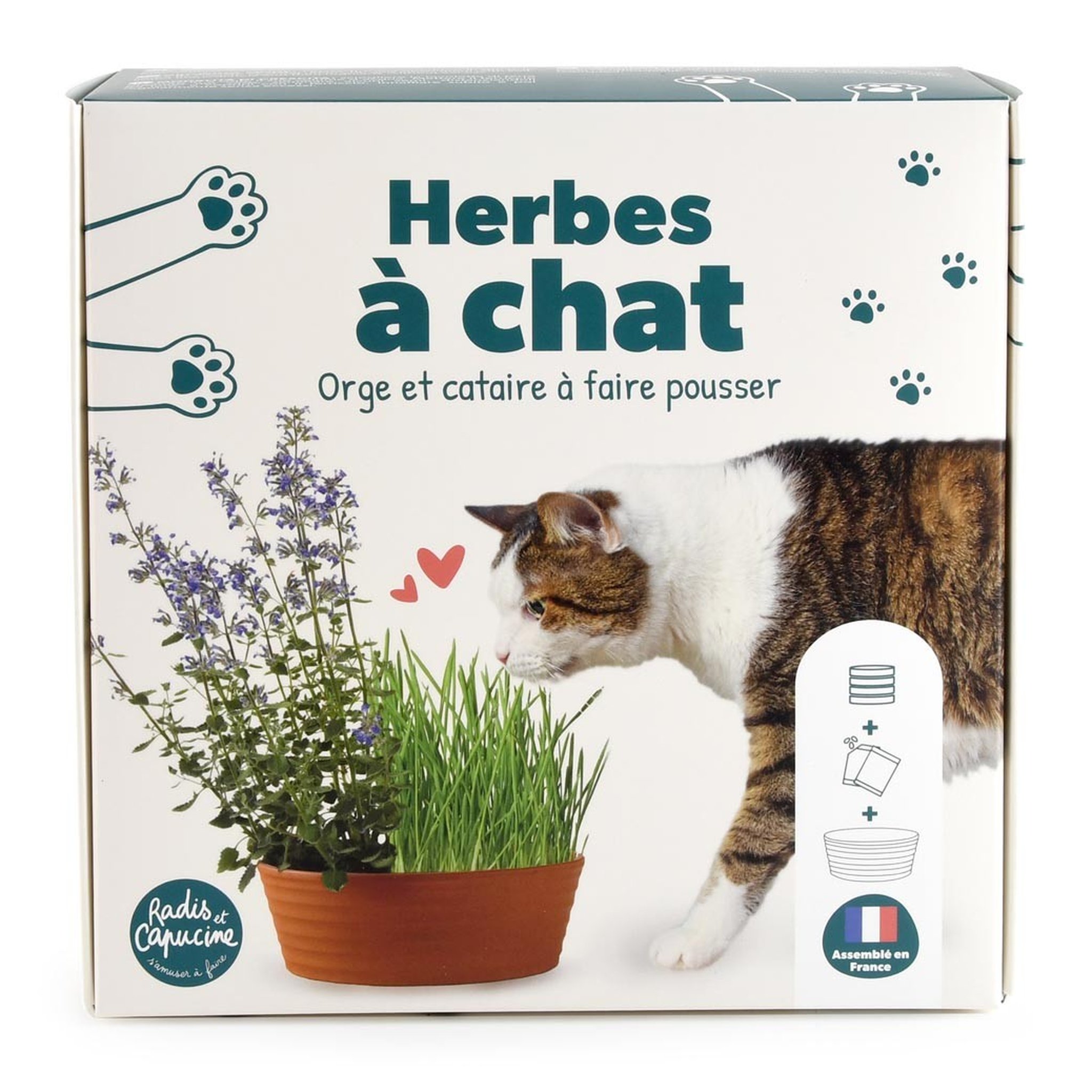 Katzenkräuter-Anzuchtset Verpackung Seitenansicht