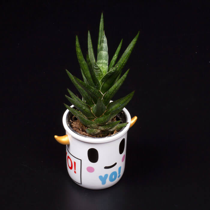Tokidoki Yo Ceramic Planter