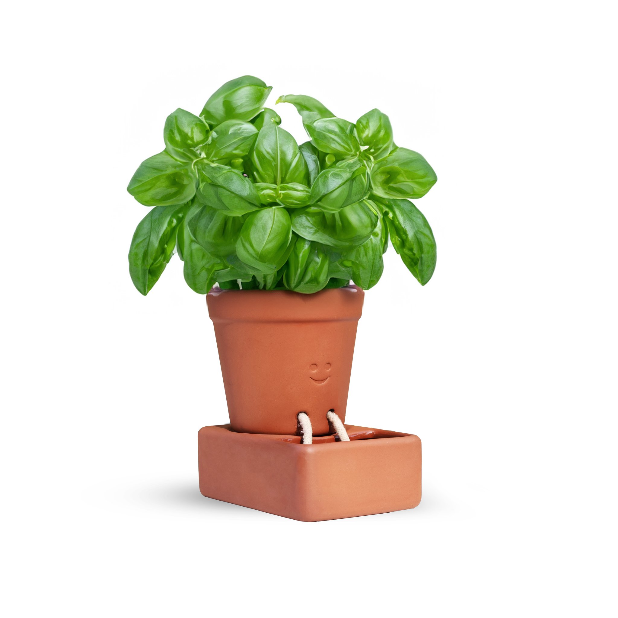 Self Care Planter – Selbstbewässernder Keramik-Pflanztopf (Bild 7)