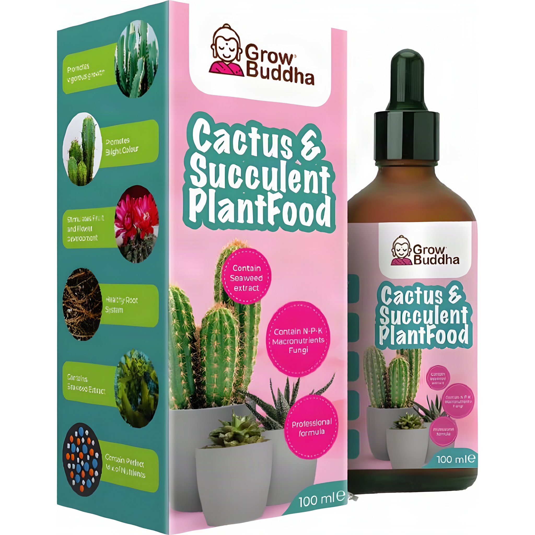 Engrais pour cactus et plantes succulentes