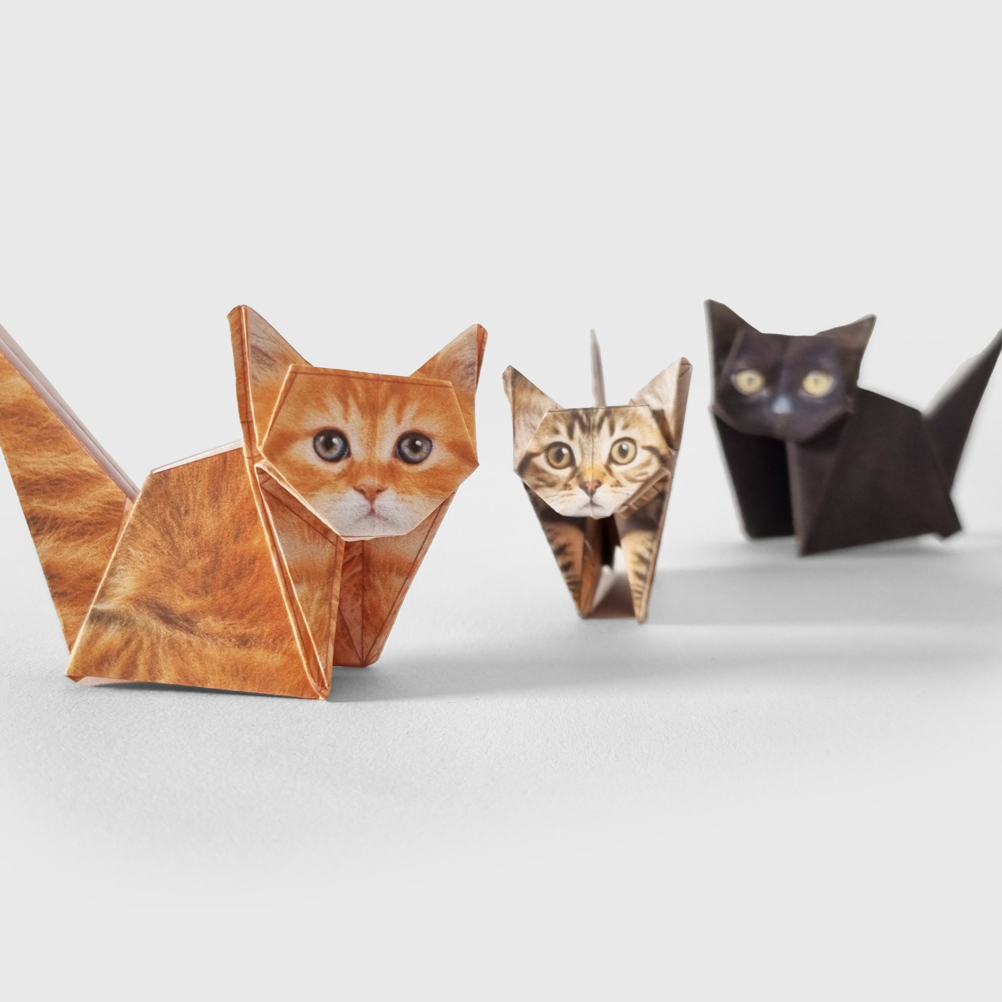 Paper Cats Origami Kit – 50 Fold-Your-Own Cats