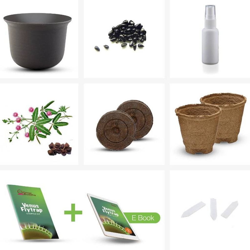 Venusfliegenfallen-Aufzuchtset