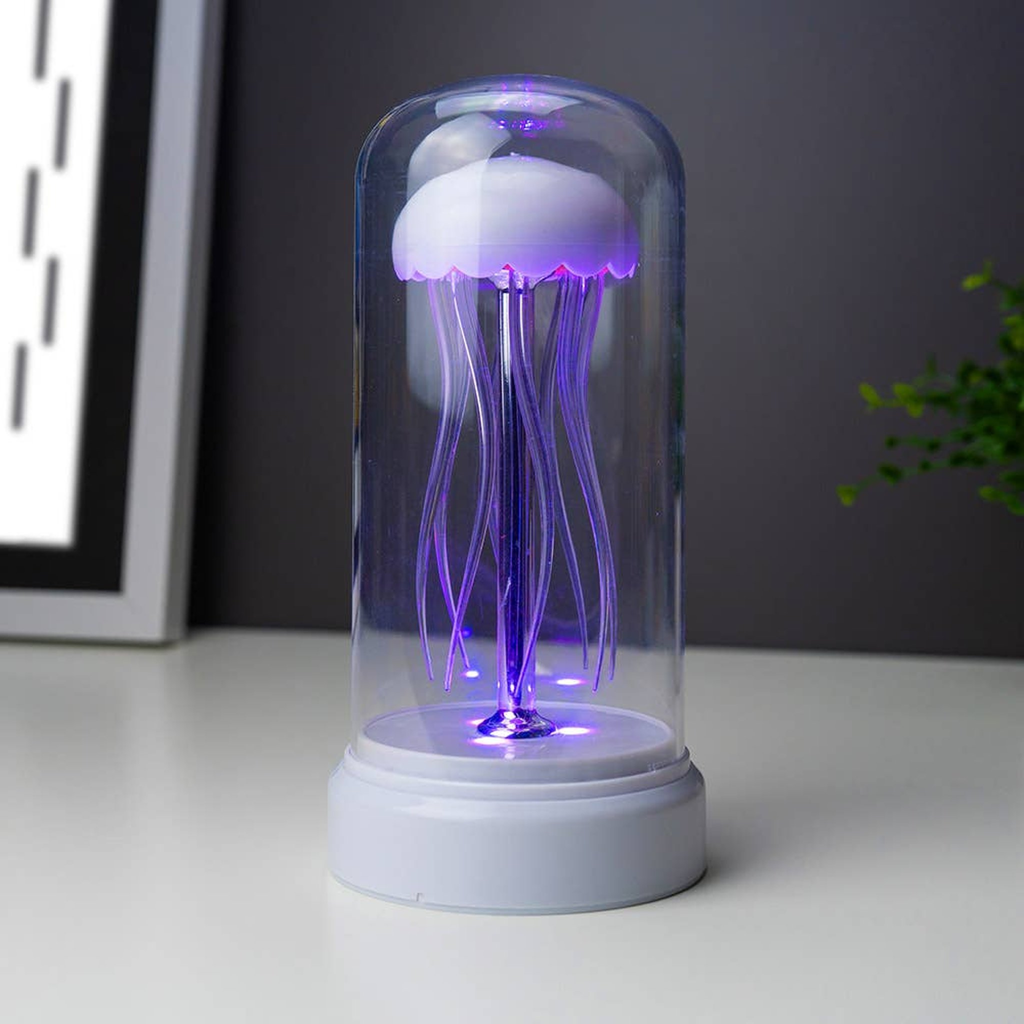 Rotierende Quallen Lampe leuchtet violett auf einem Schreibtisch