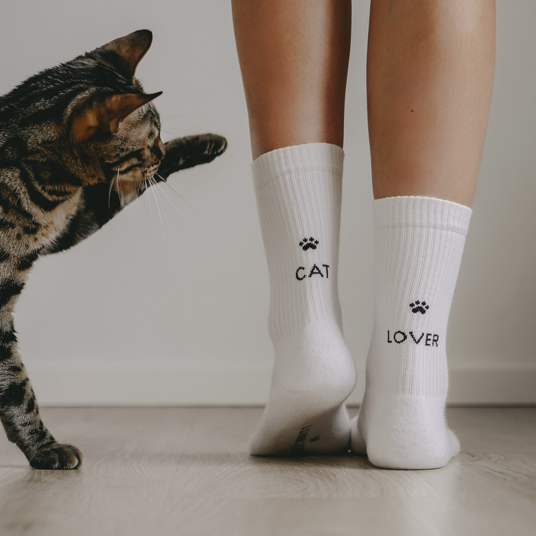 Katze streckt die Pfote nach den Socken Cat Lover aus, Rückseite mit CAT und LOVER