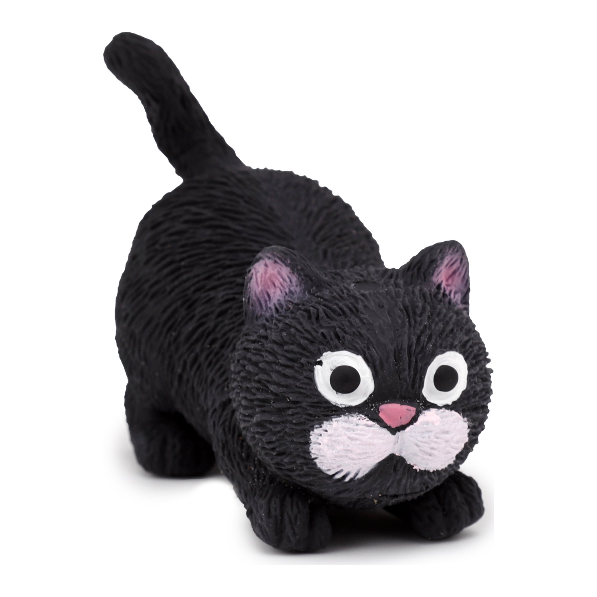 Schwarze Stresskatze in Spielhaltung