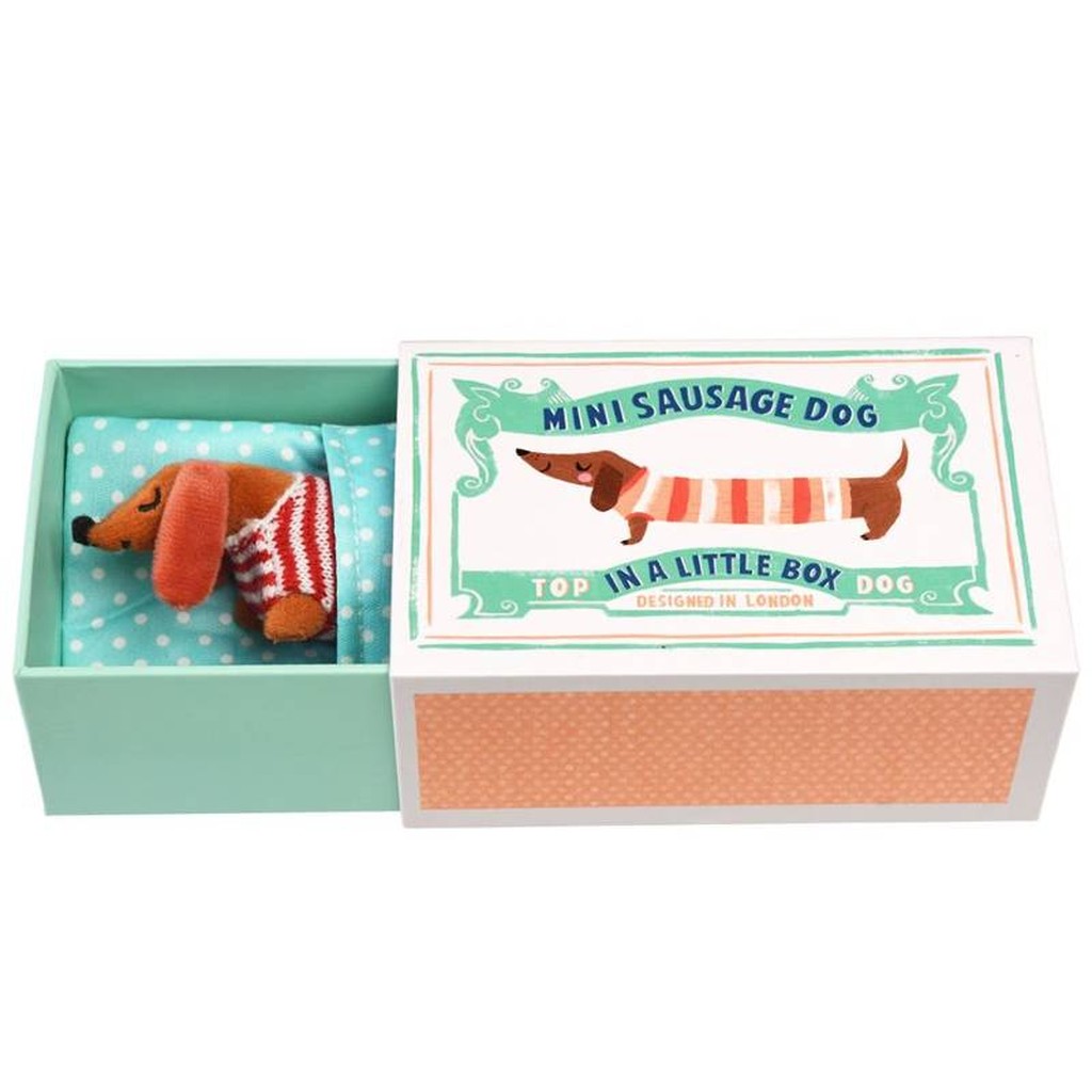 Mini-Dackel in einer Schachtel