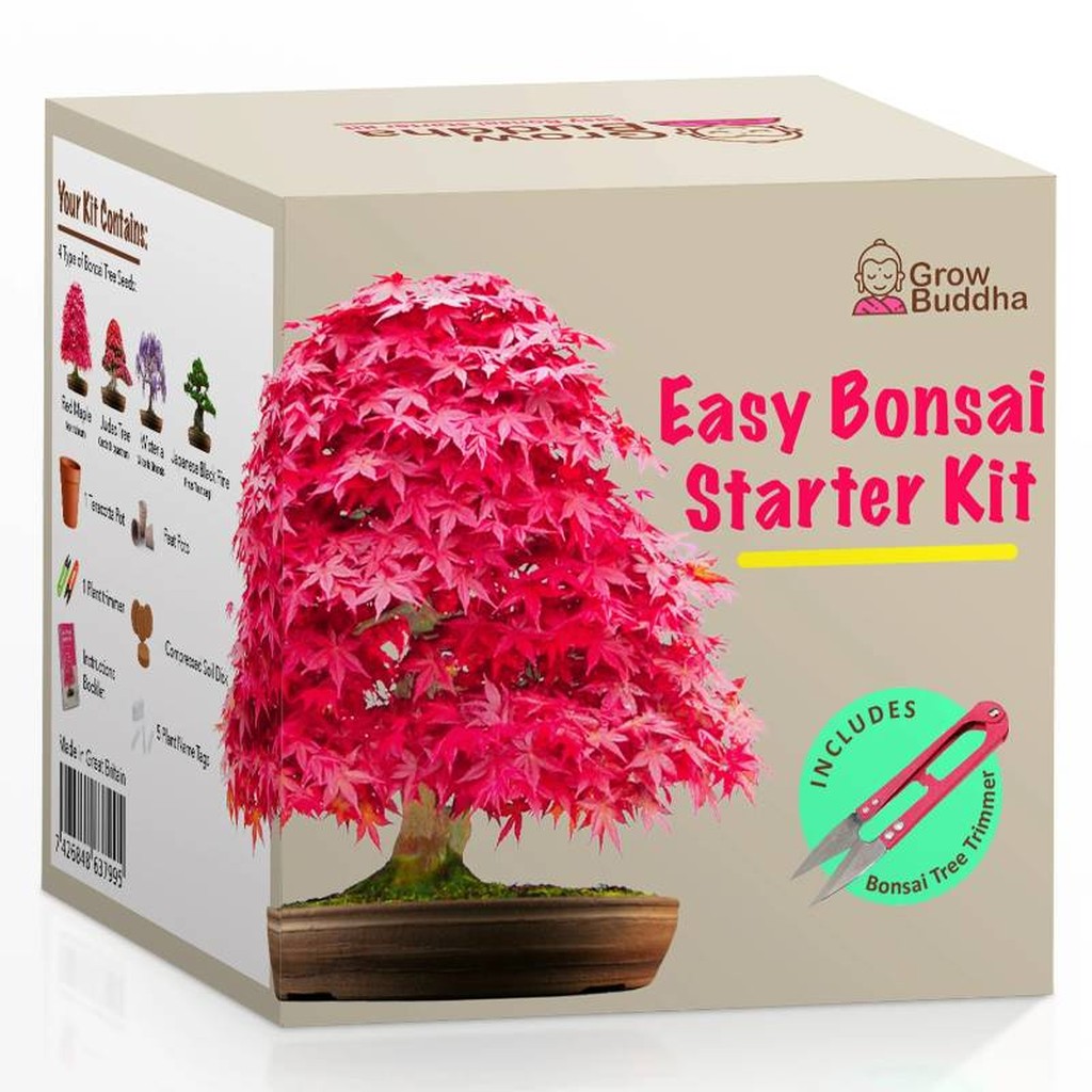 Bonsai Plfanzsset von Grow Buddha