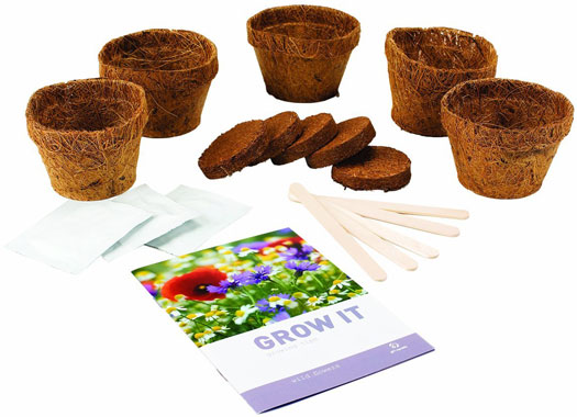 Wildblumen Geschenkset