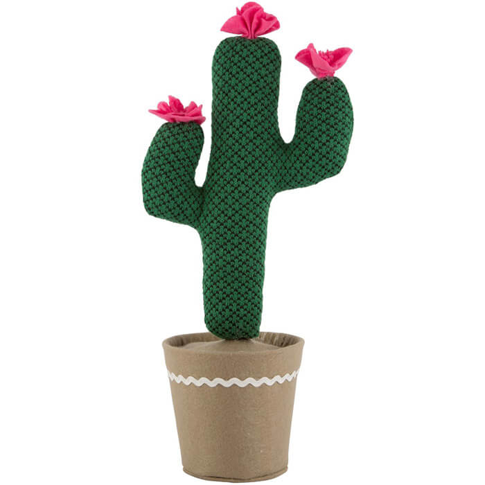 Fermaporta Cactus