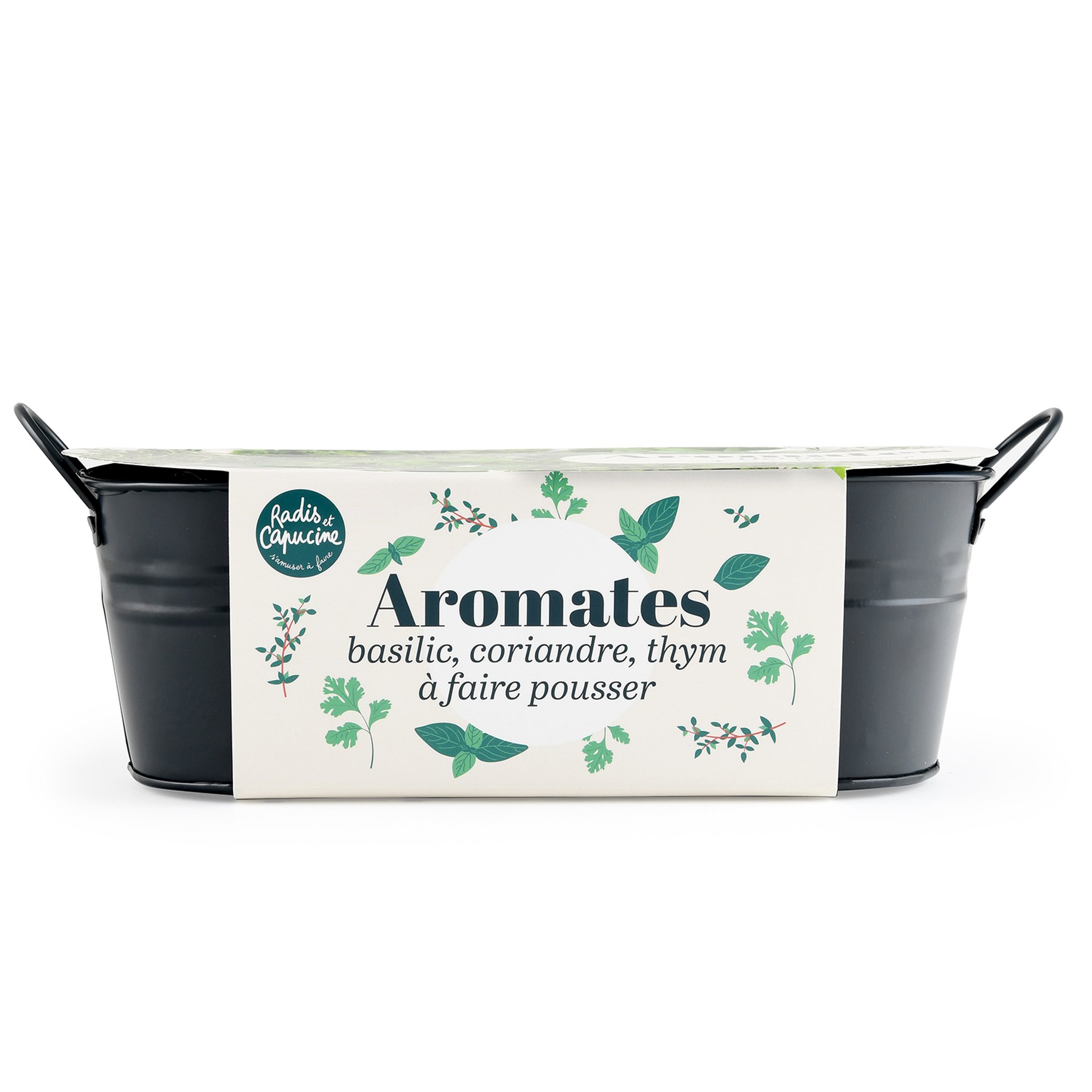 Jardinière Zinc 30 cm Aromates Bio – Basilic, Coriandre, Thym