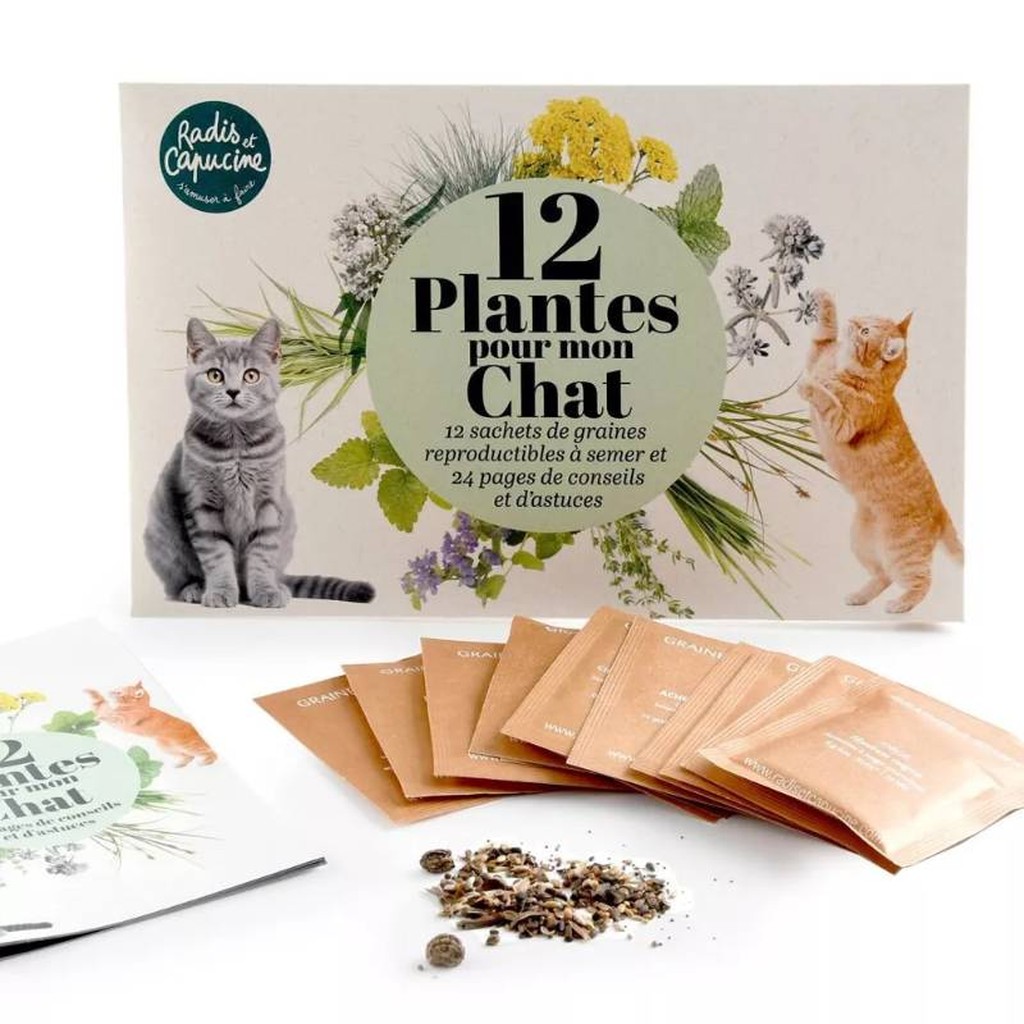12 Pflanzen für meine Katze – Samen-Set
