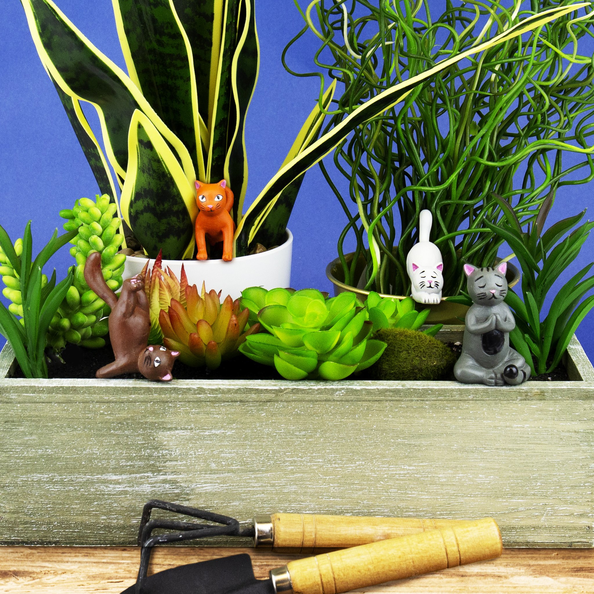 Yoga-Katzen als Pflanzenstecker zwischen Sukkulenten im Blumenkasten