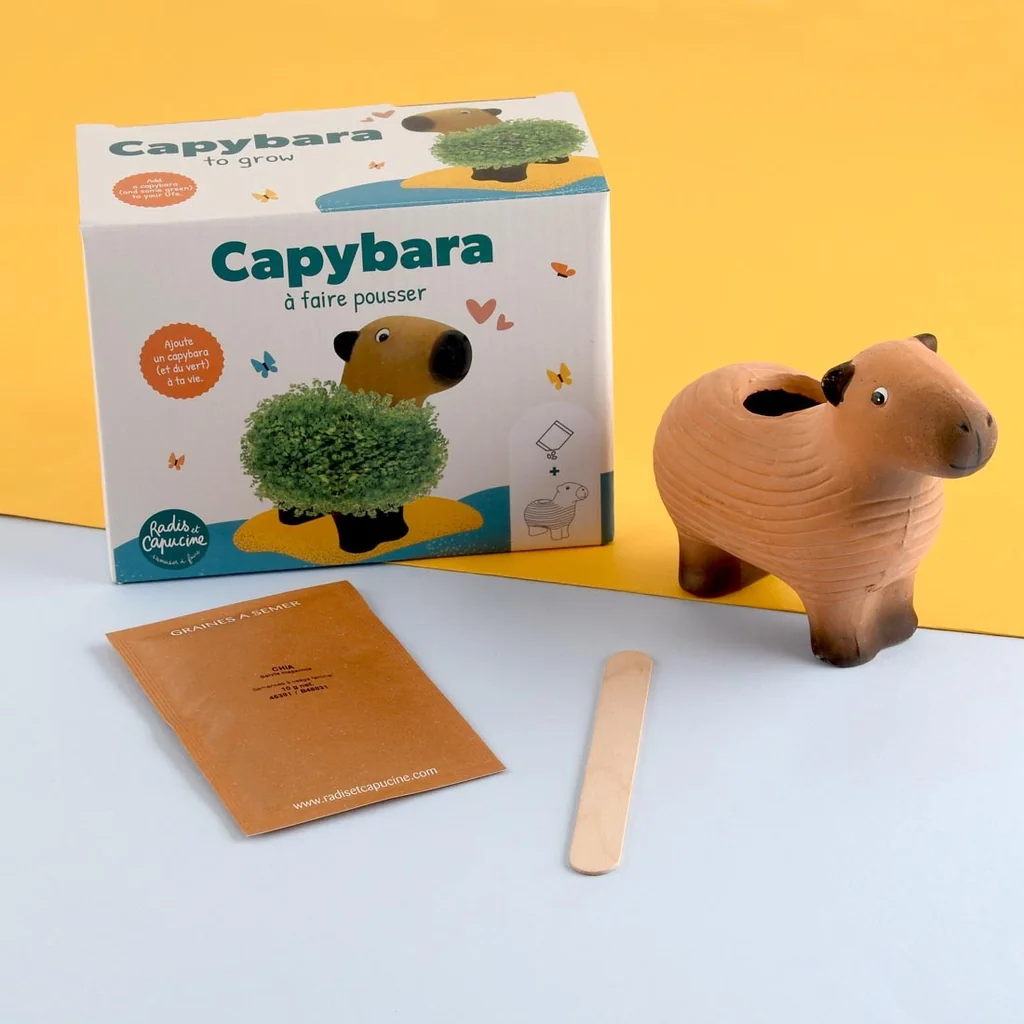 Capybara zum Samenzüchten