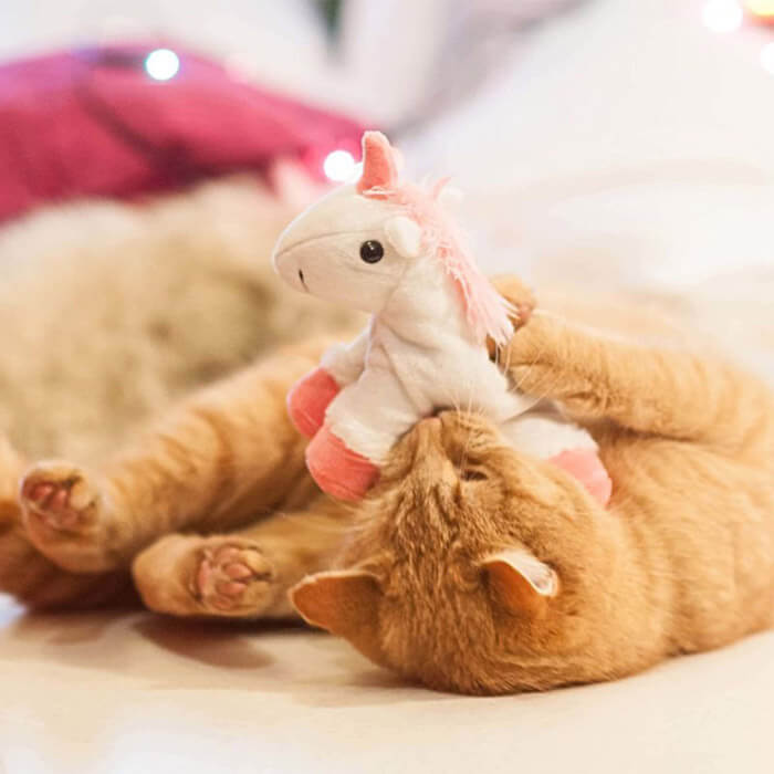 Jouet Peluche Licorne pour Chat