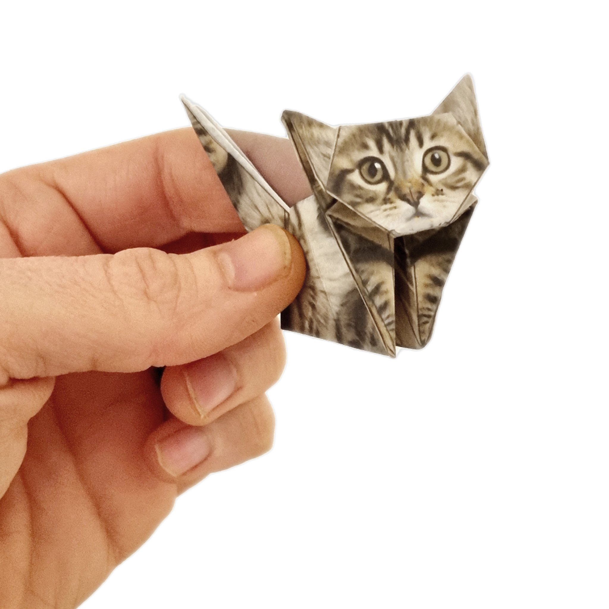 Paper Cats Origami-Set – 50 Falt-Katzen (Bild 4)