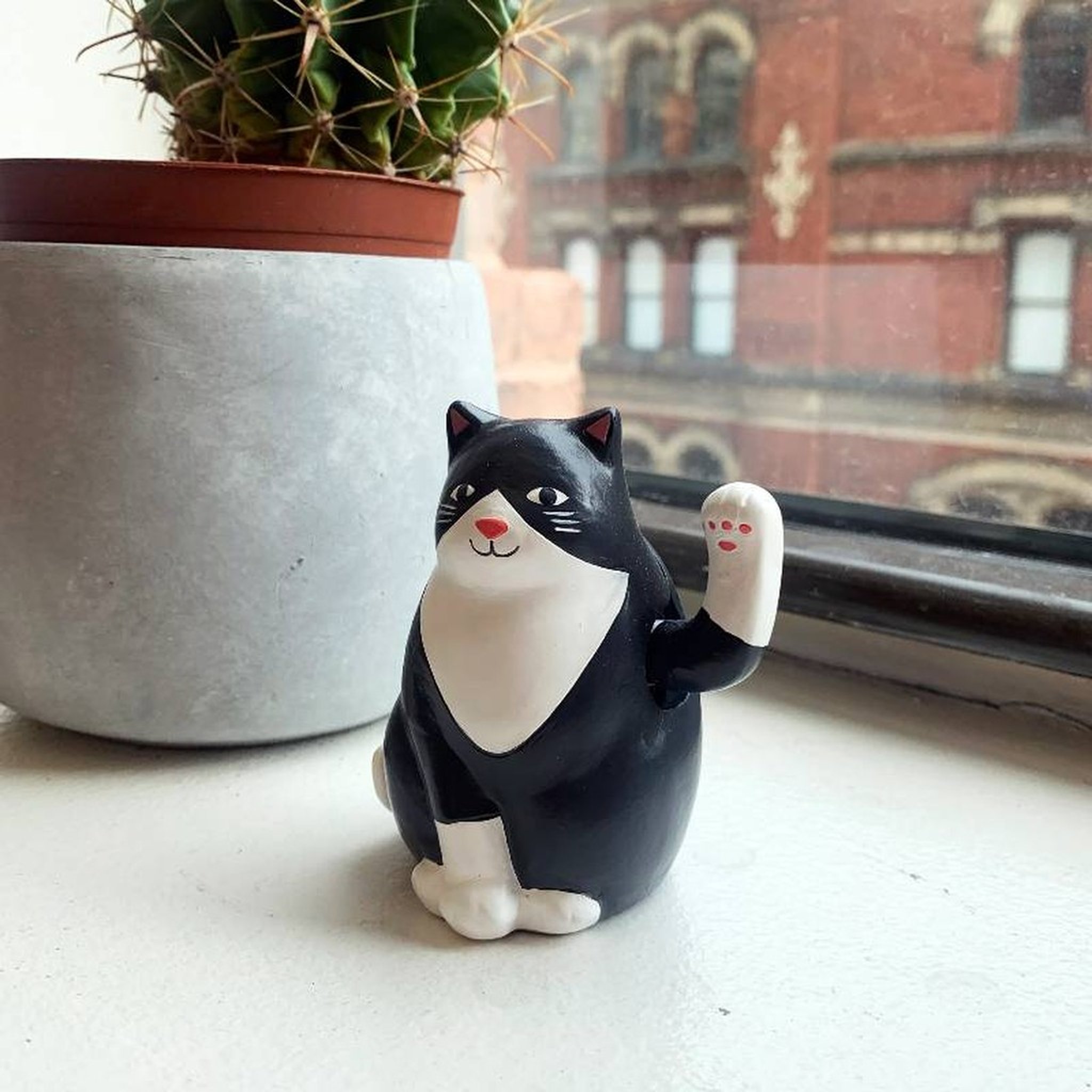 Gatto solare che saluta sul davanzale accanto a un cactus