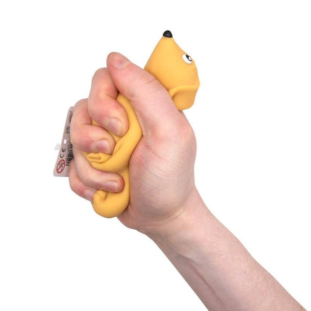 Set di giocattoli antistress Bassotti